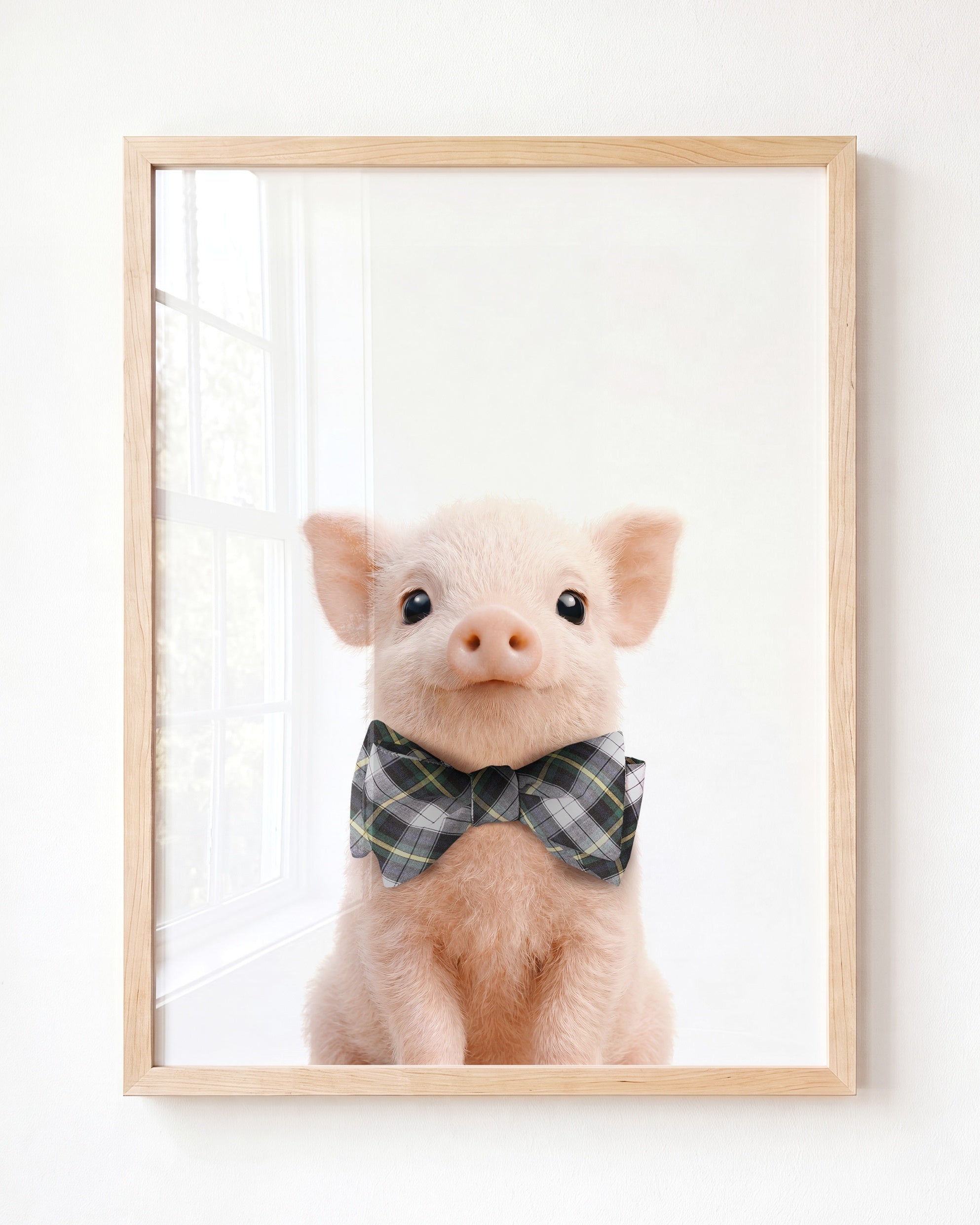 Baby Pig