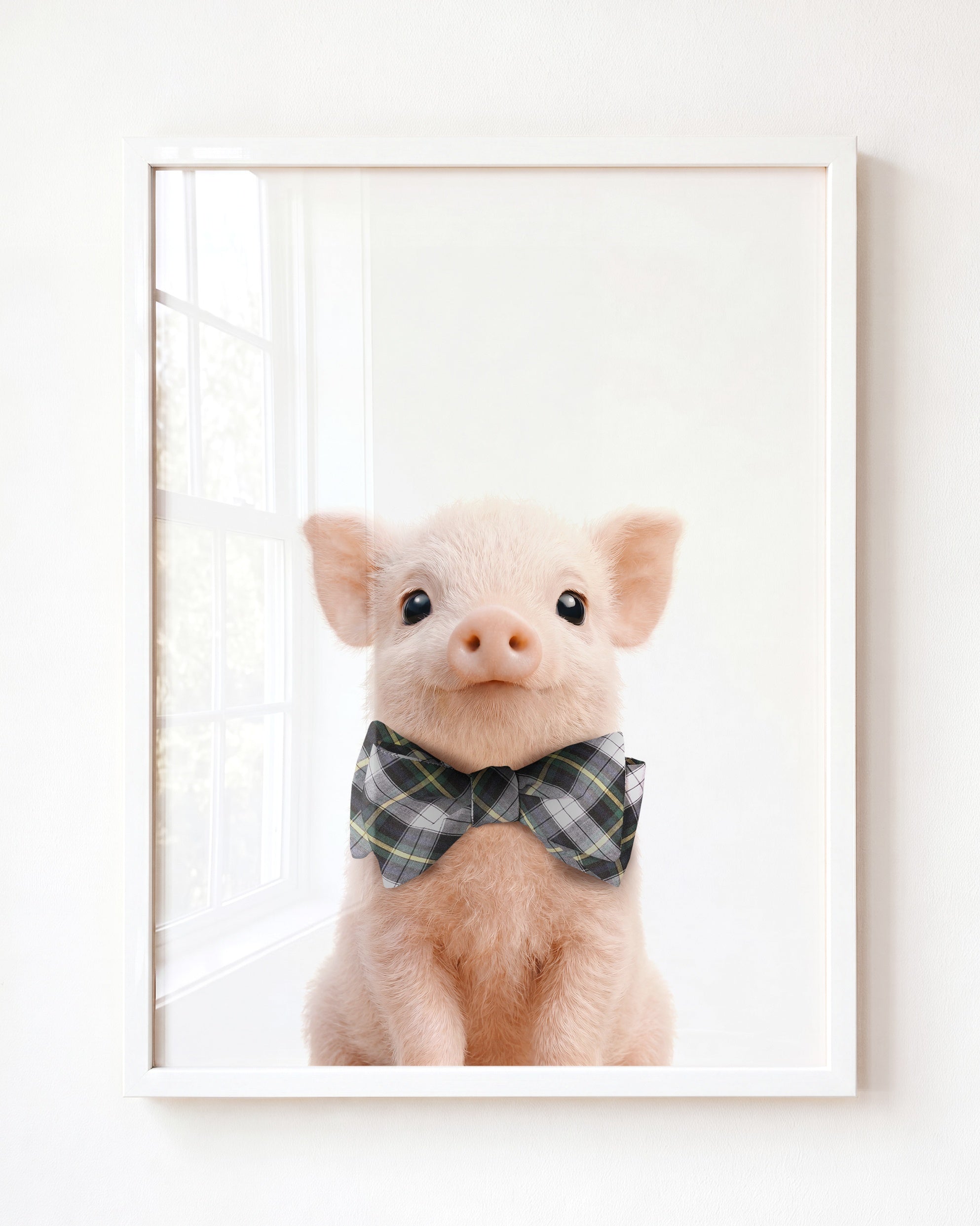 Baby Pig