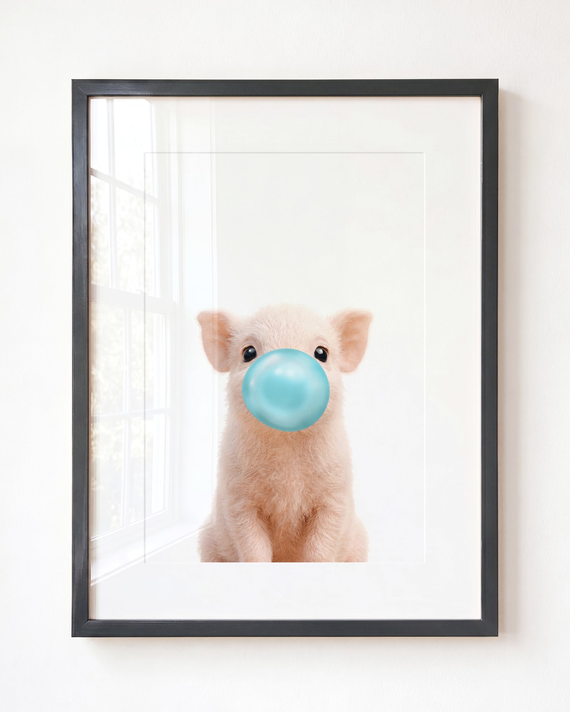 Baby Pig