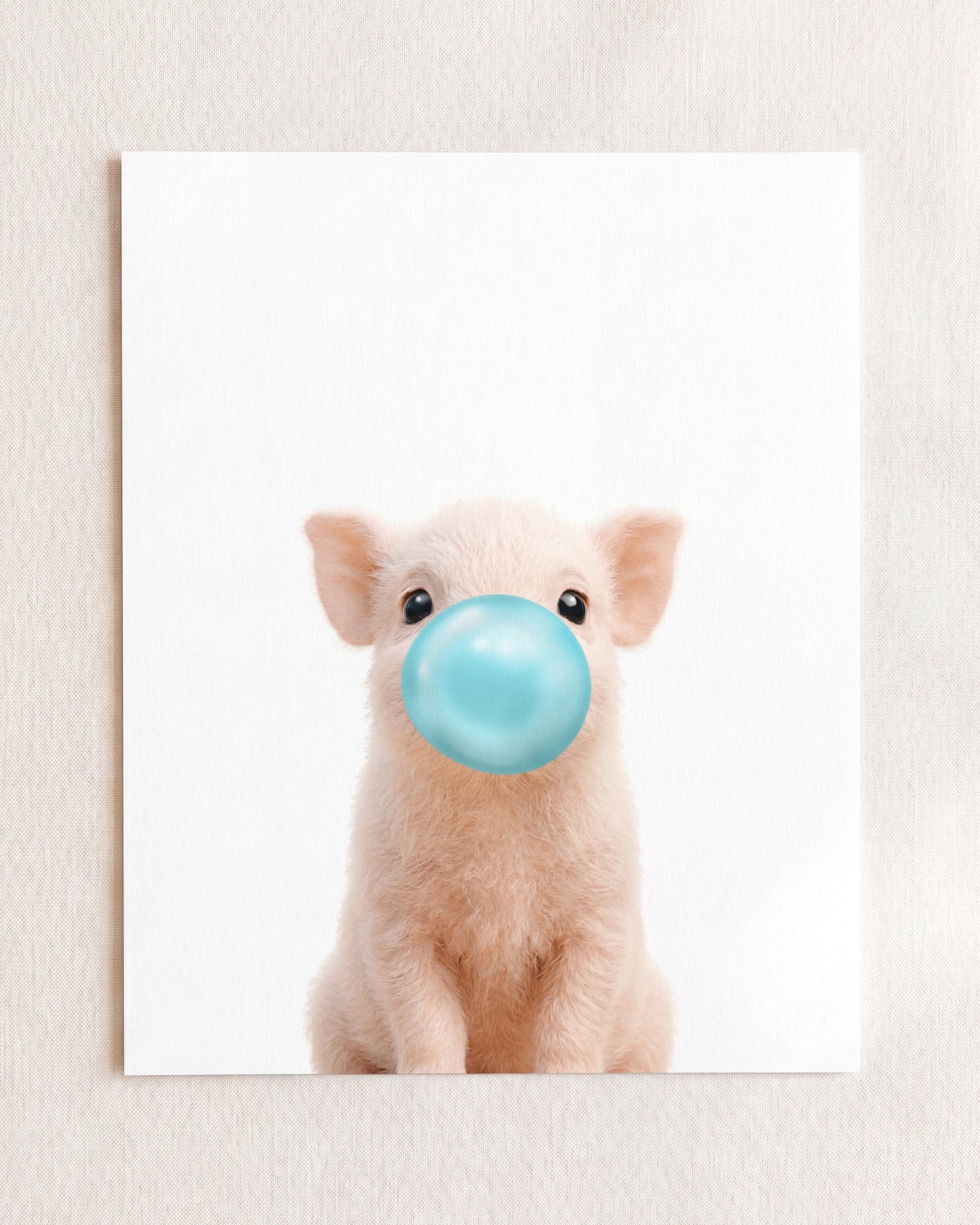 Baby Pig
