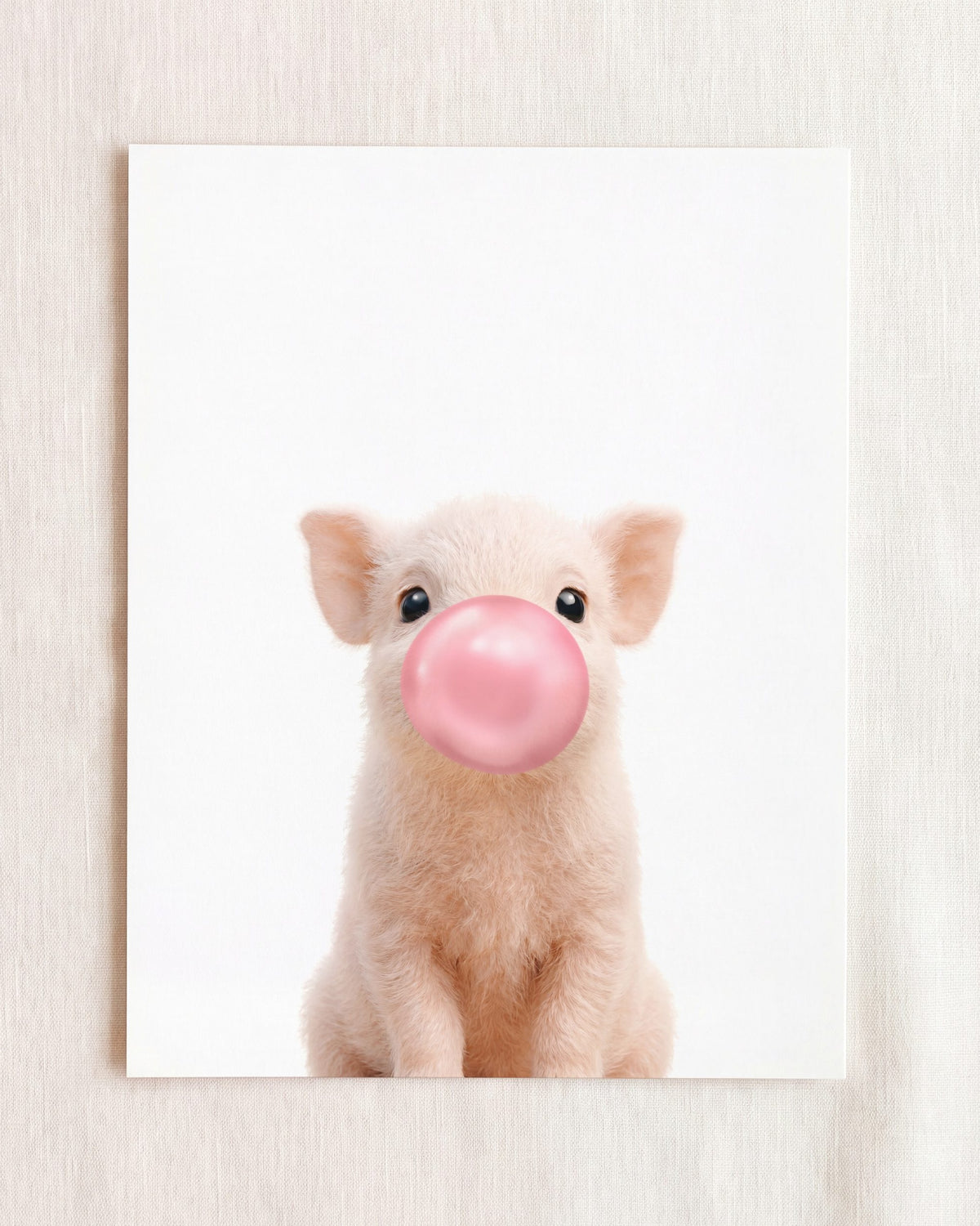 Baby Pig