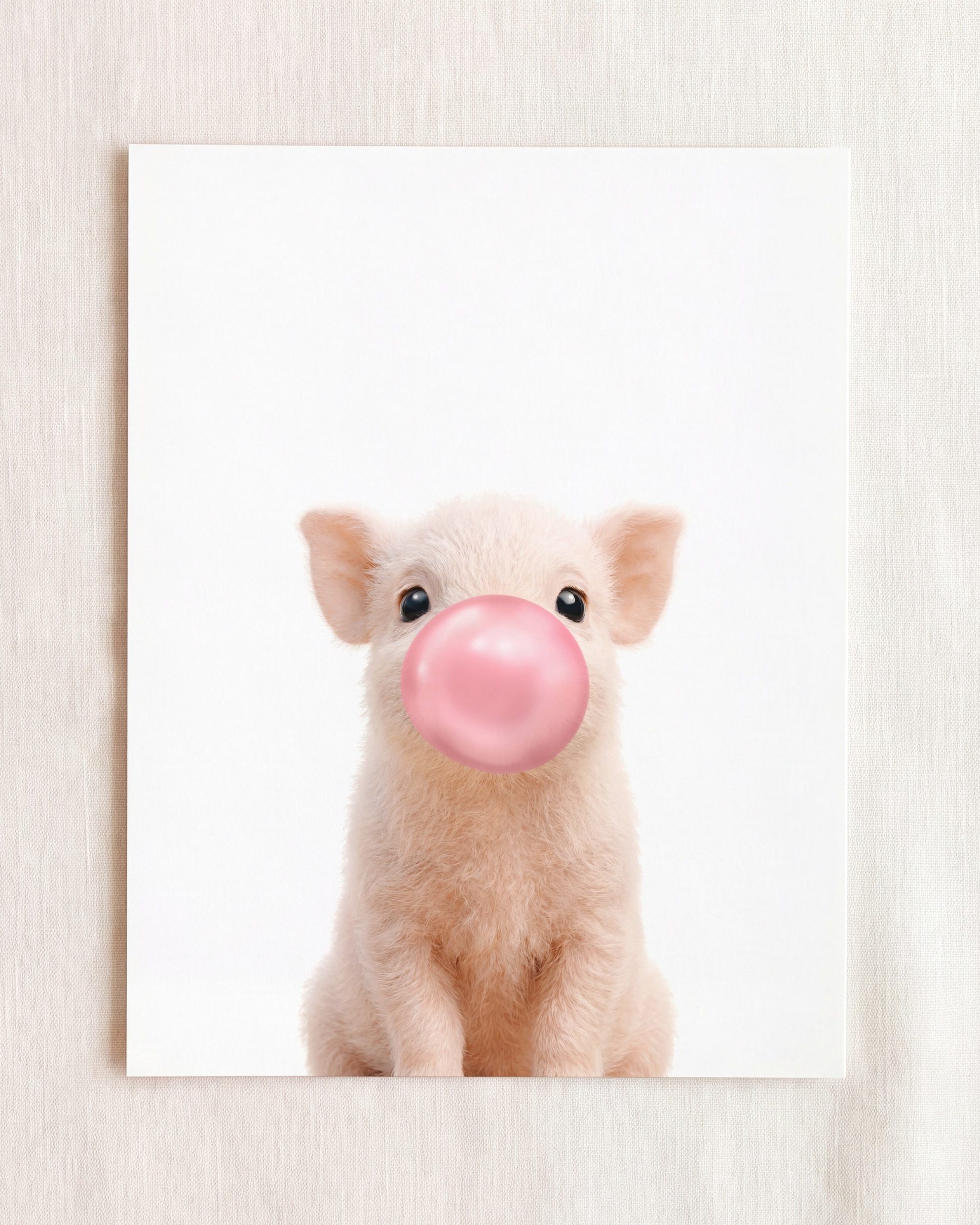 Baby Pig