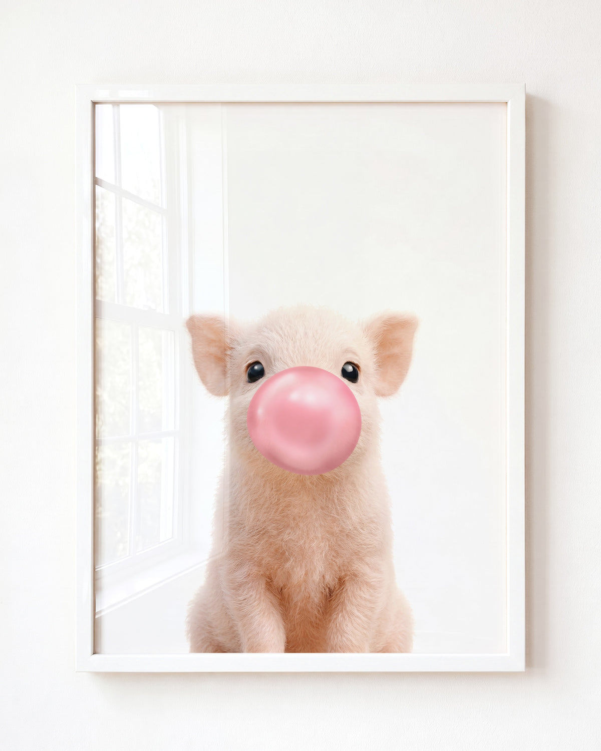 Baby Pig