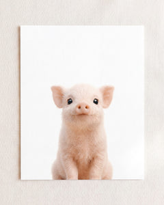 Baby Pig