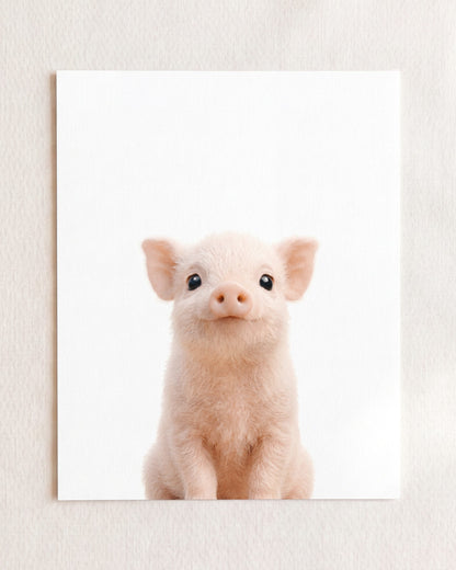 Baby Pig