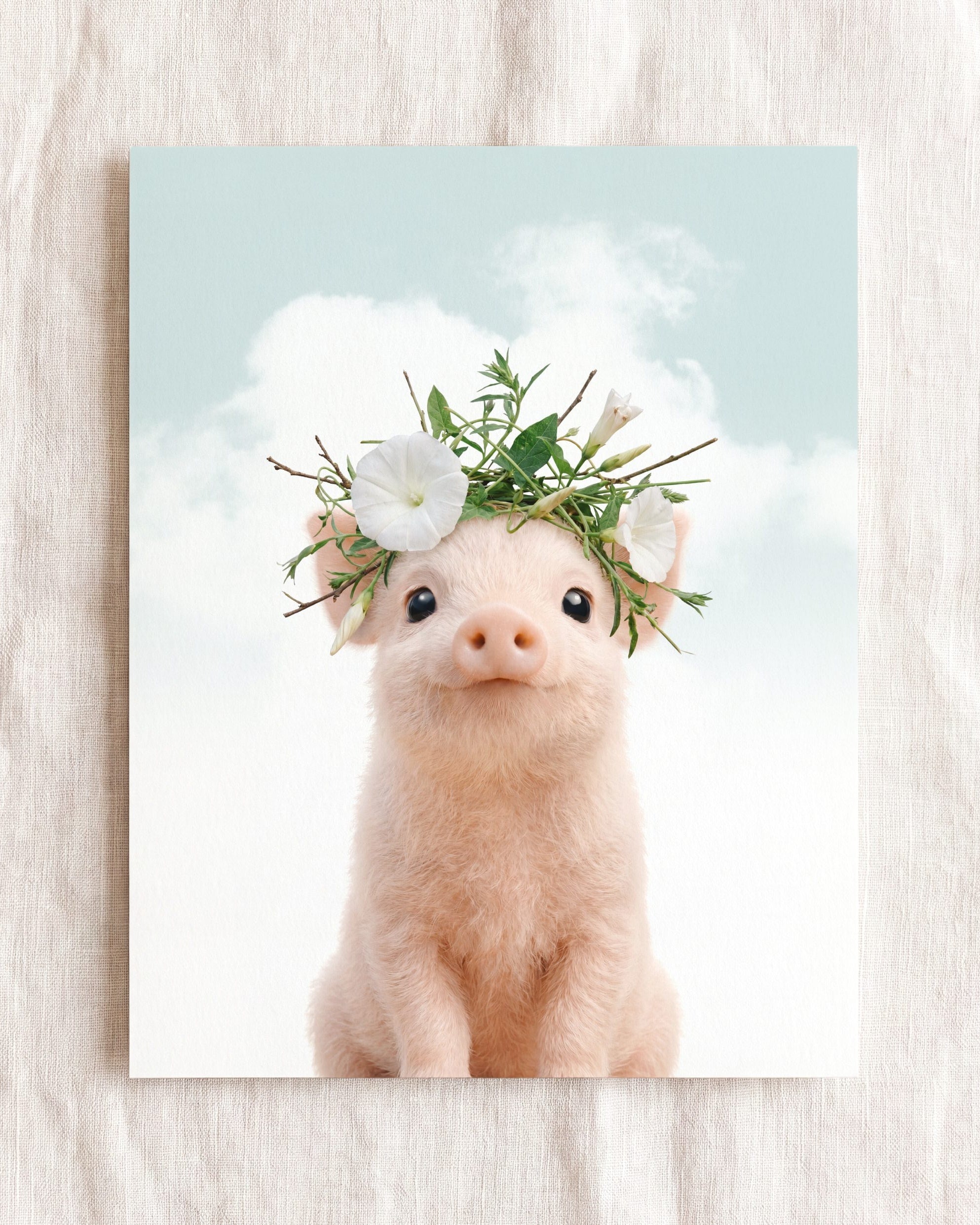 Baby Pig