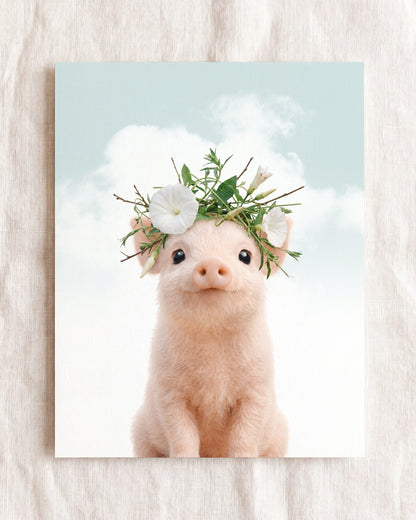 Baby Pig