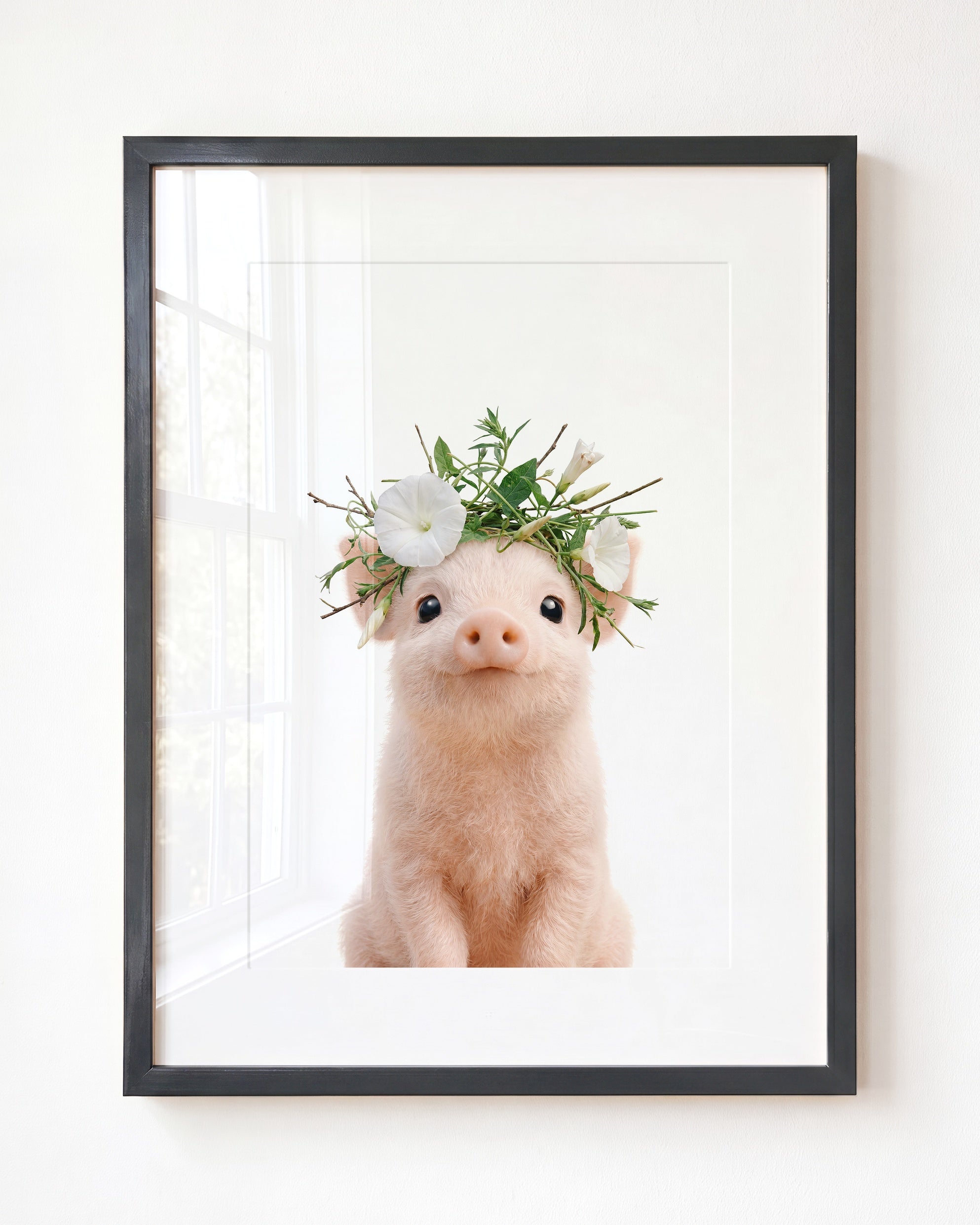 Baby Pig