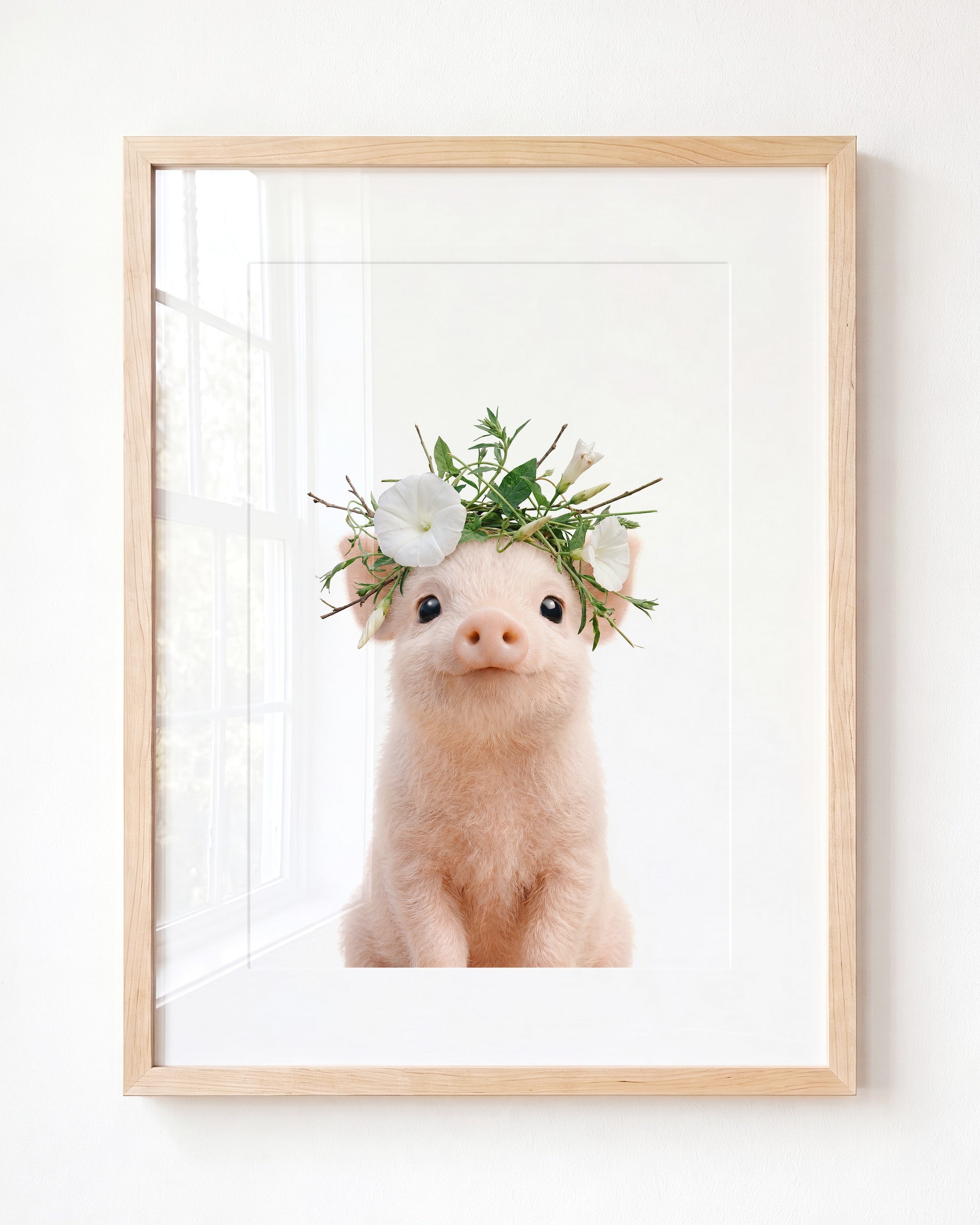 Baby Pig
