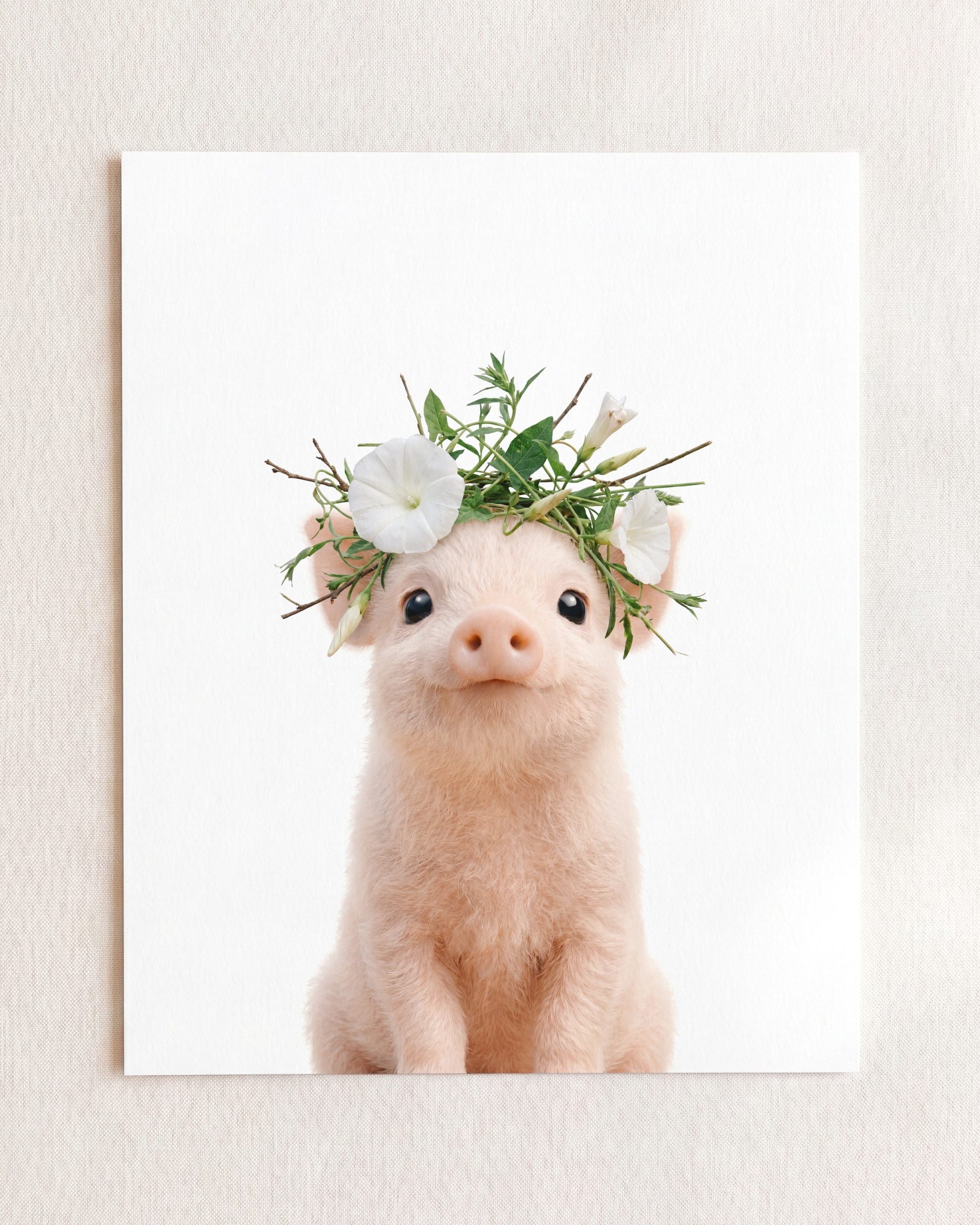 Baby Pig