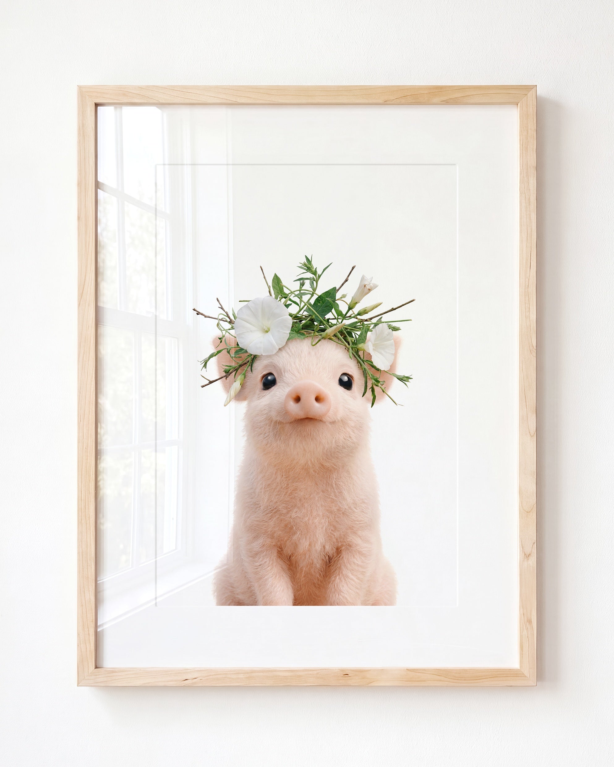 Baby Pig
