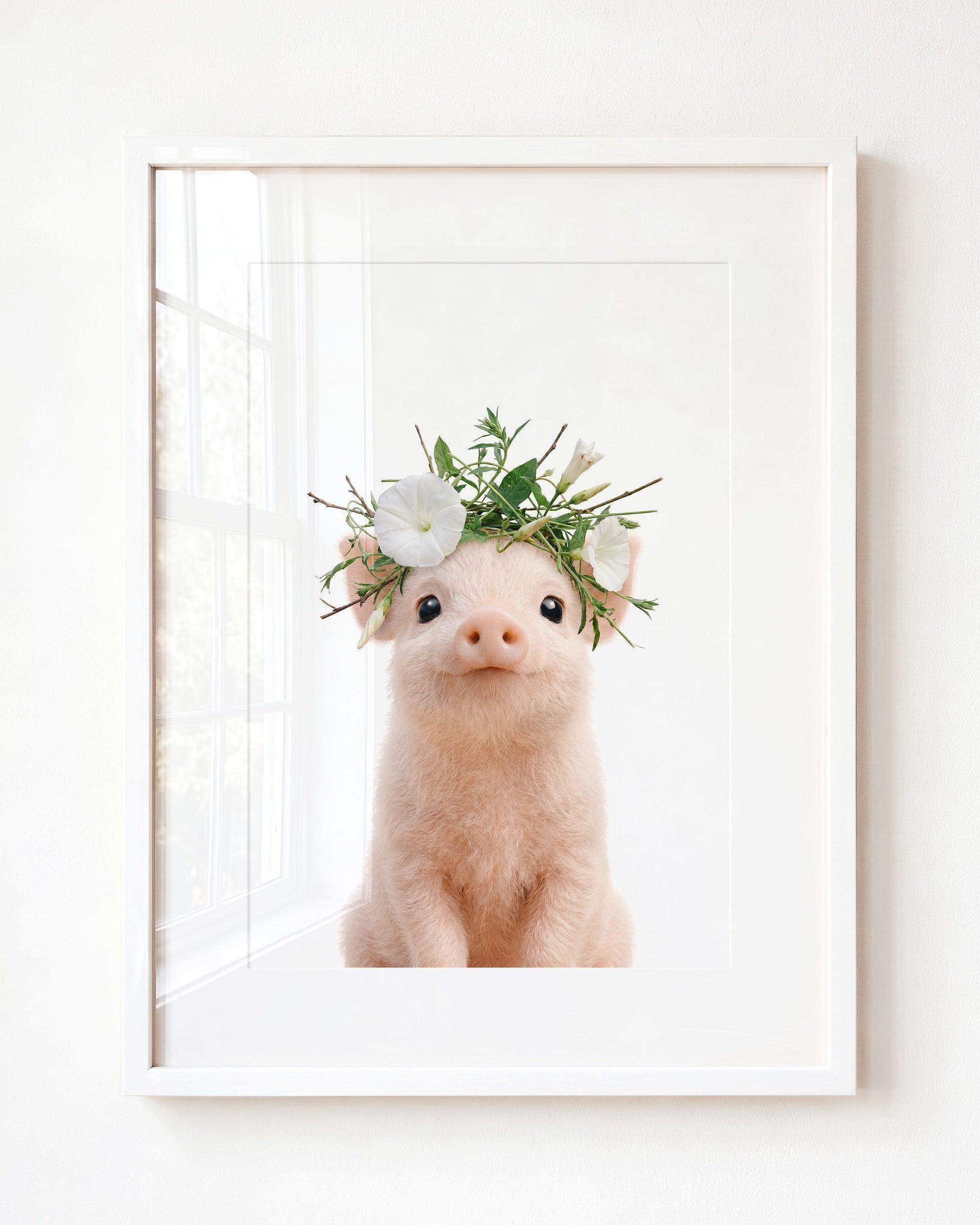 Baby Pig