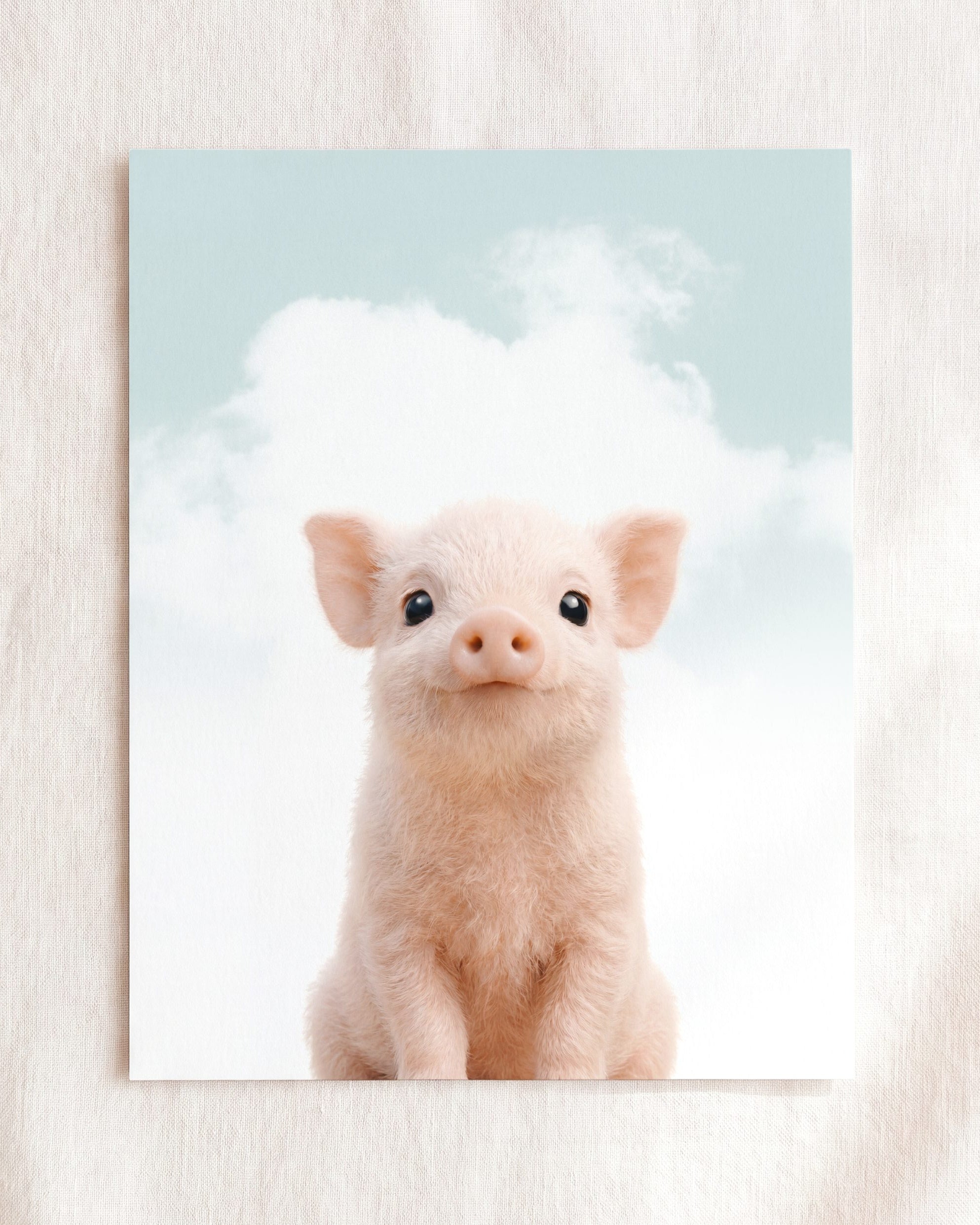 Baby Pig