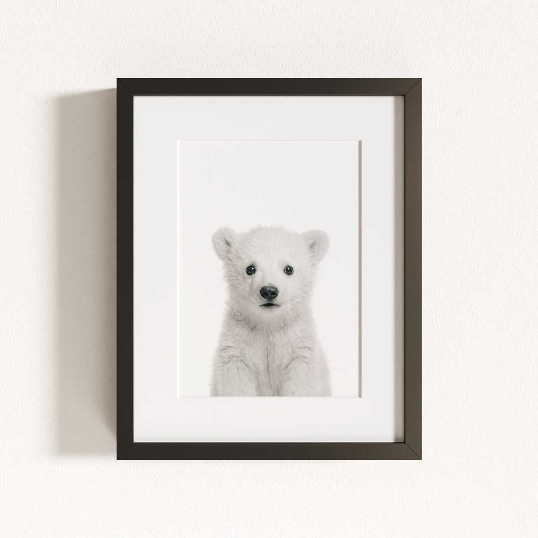 Baby Polar Bear