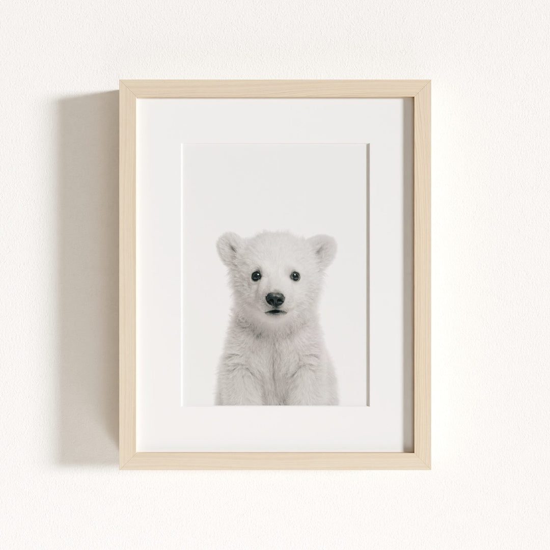 Baby Polar Bear