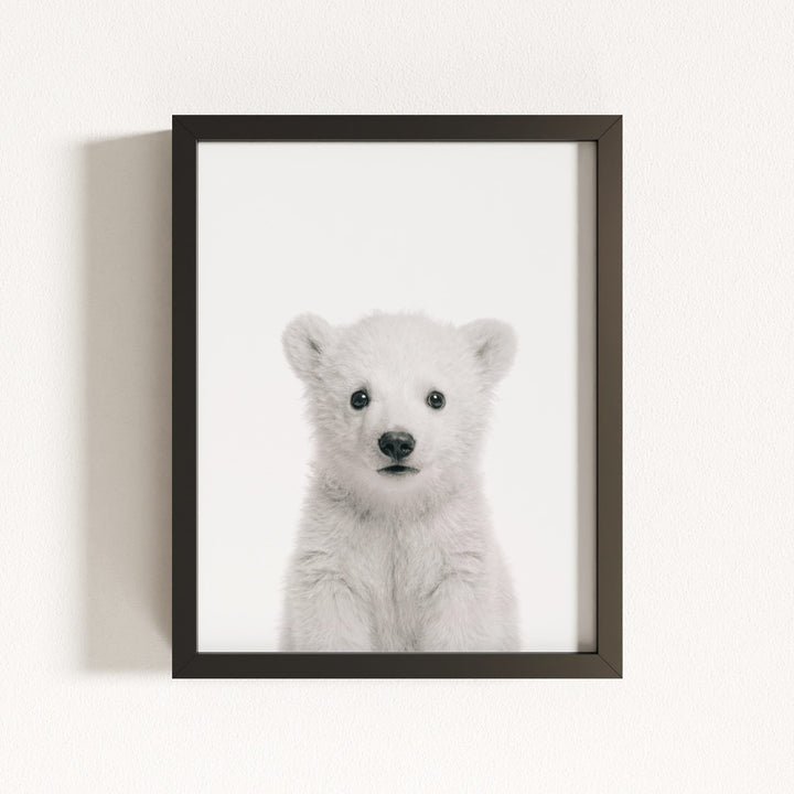 Baby Polar Bear