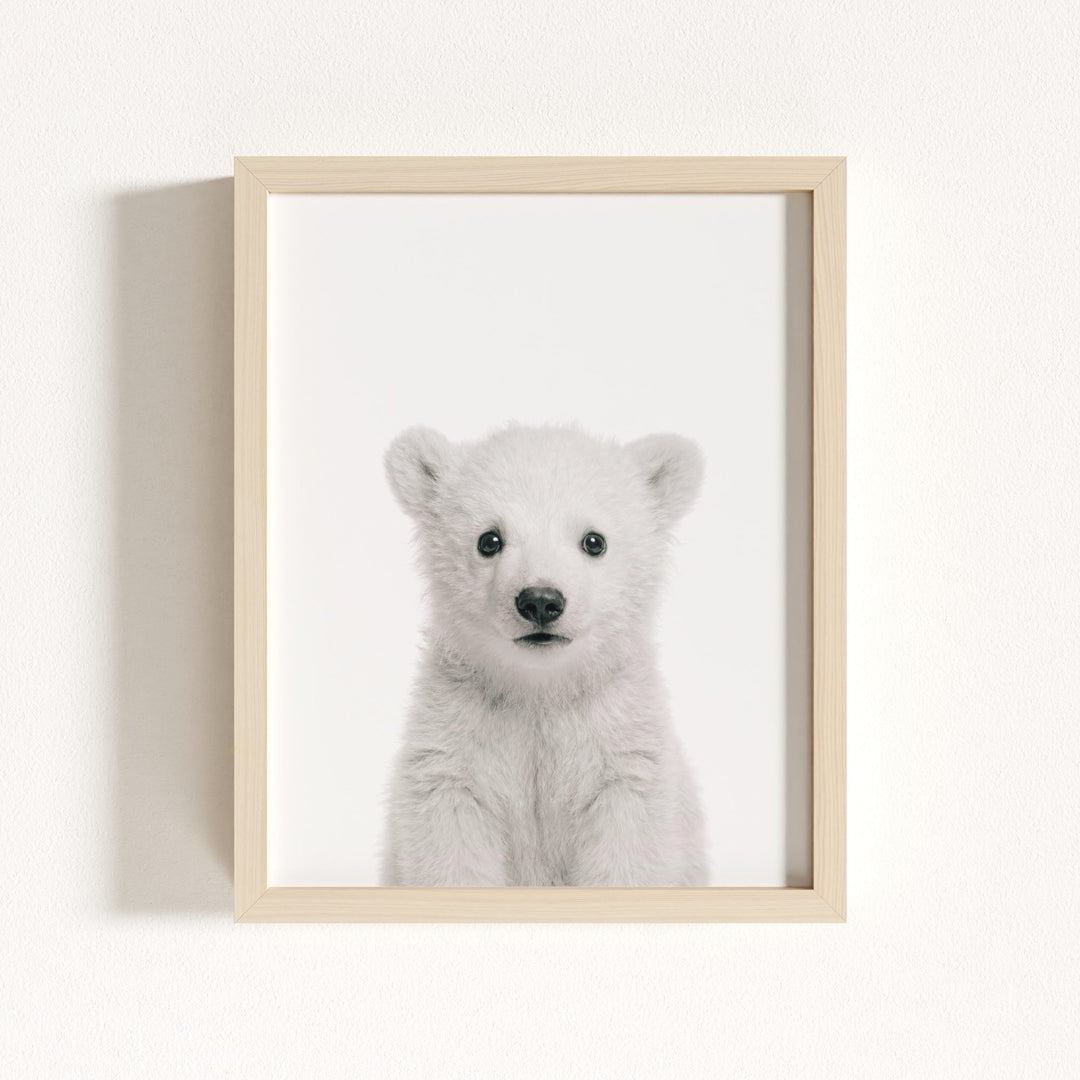 Baby Polar Bear