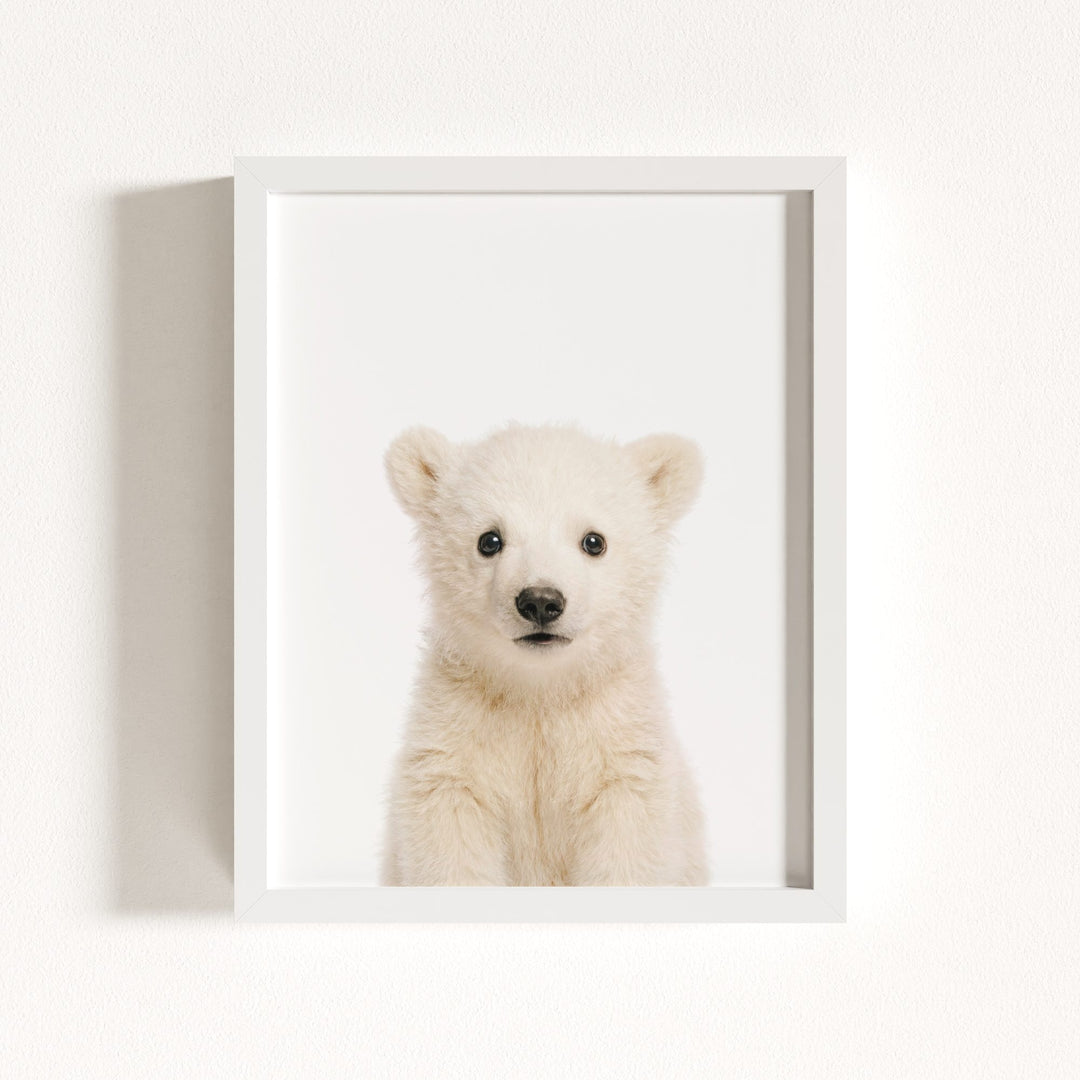 Baby Polar Bear