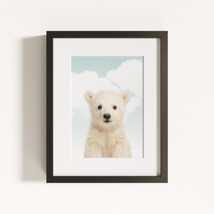 Baby Polar Bear