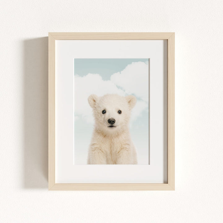 Baby Polar Bear