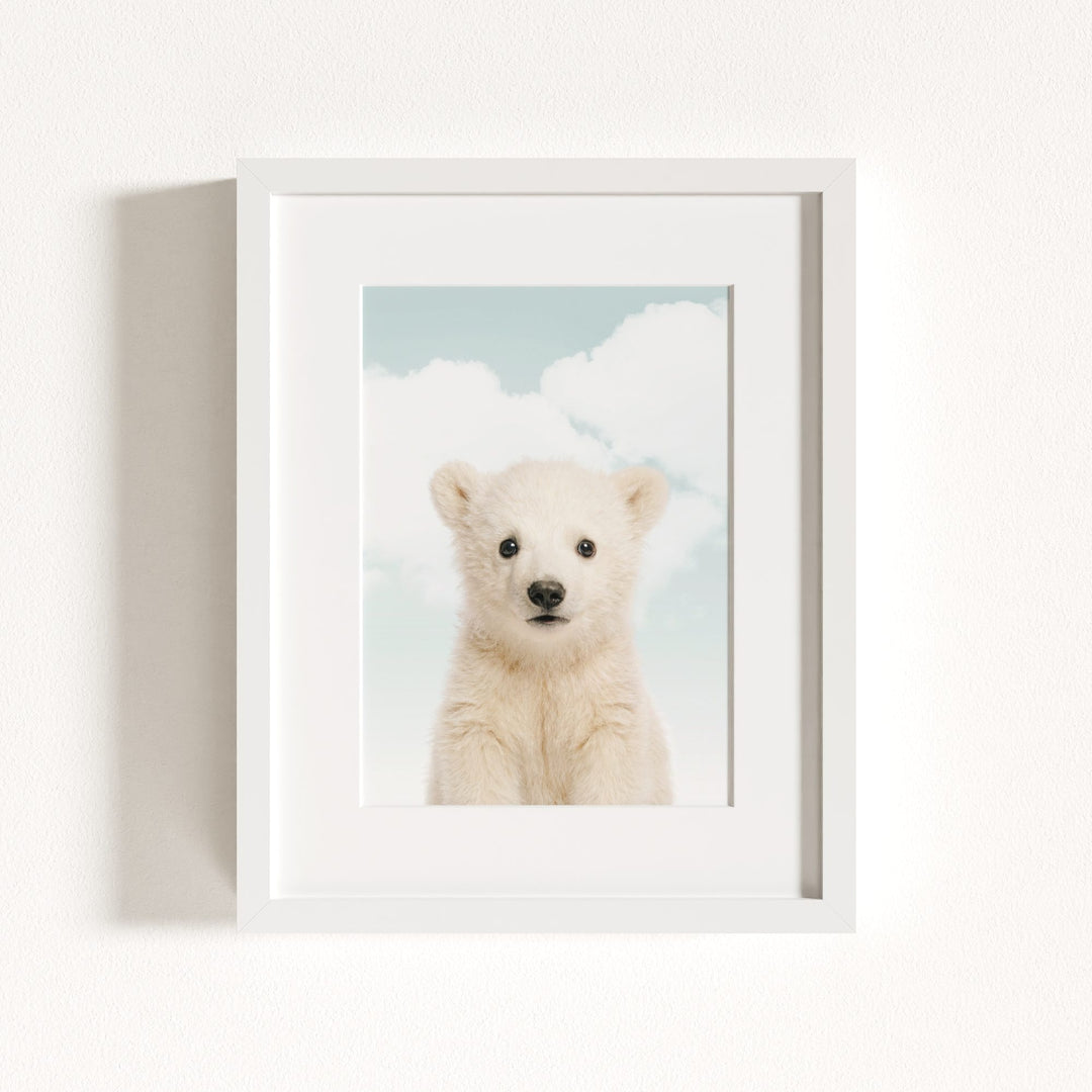 Baby Polar Bear