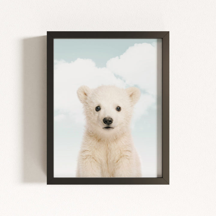 Baby Polar Bear