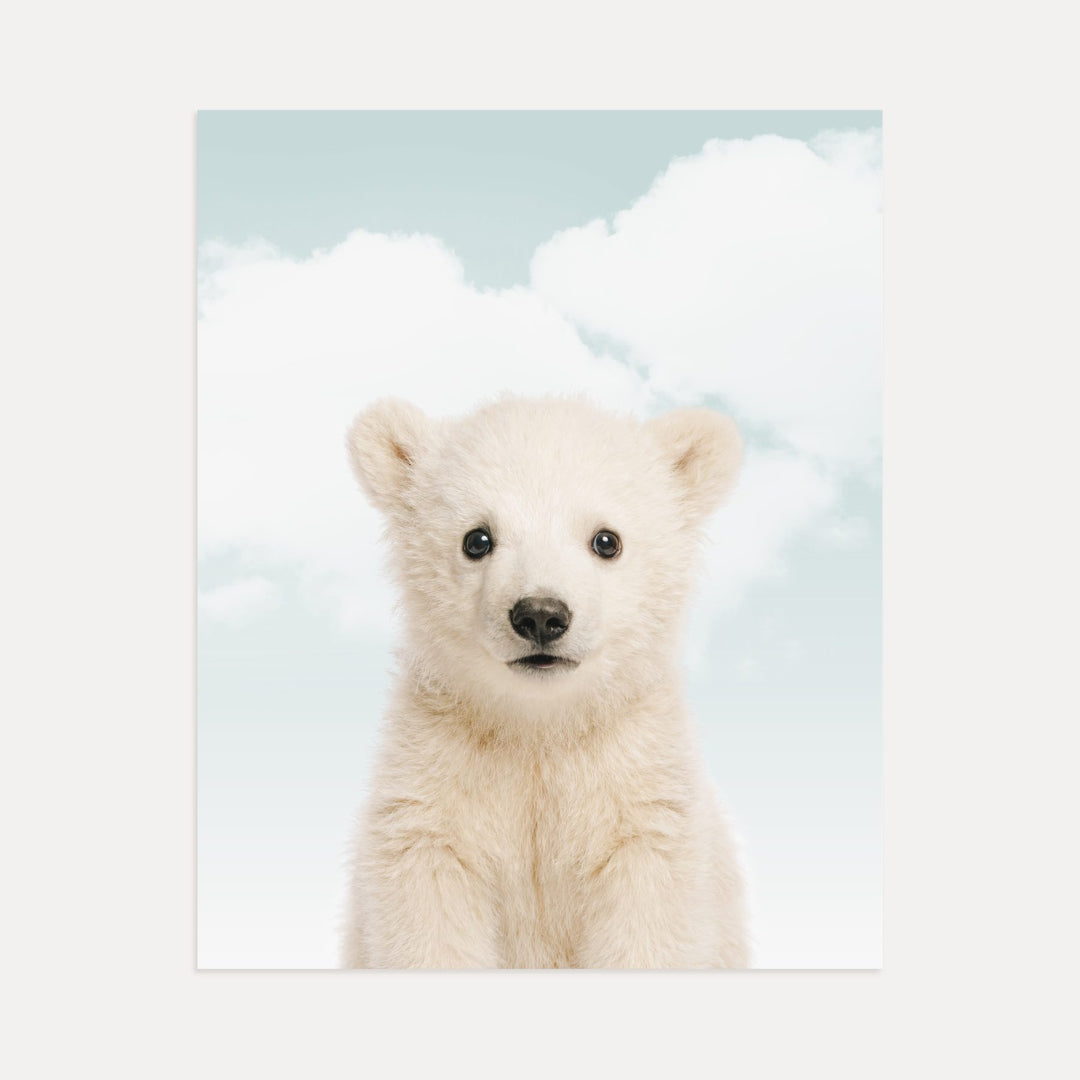 Baby Polar Bear