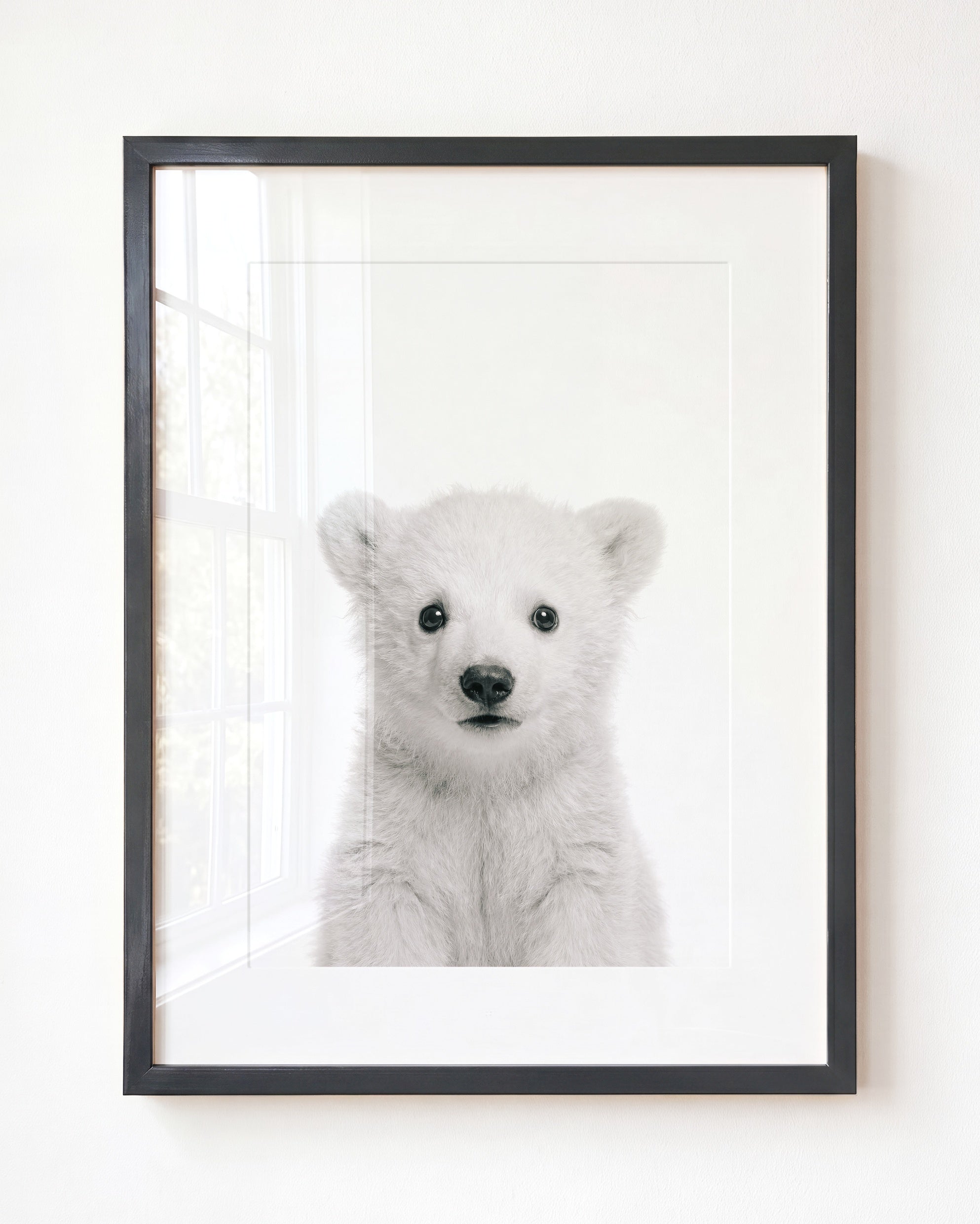 Baby Polar Bear