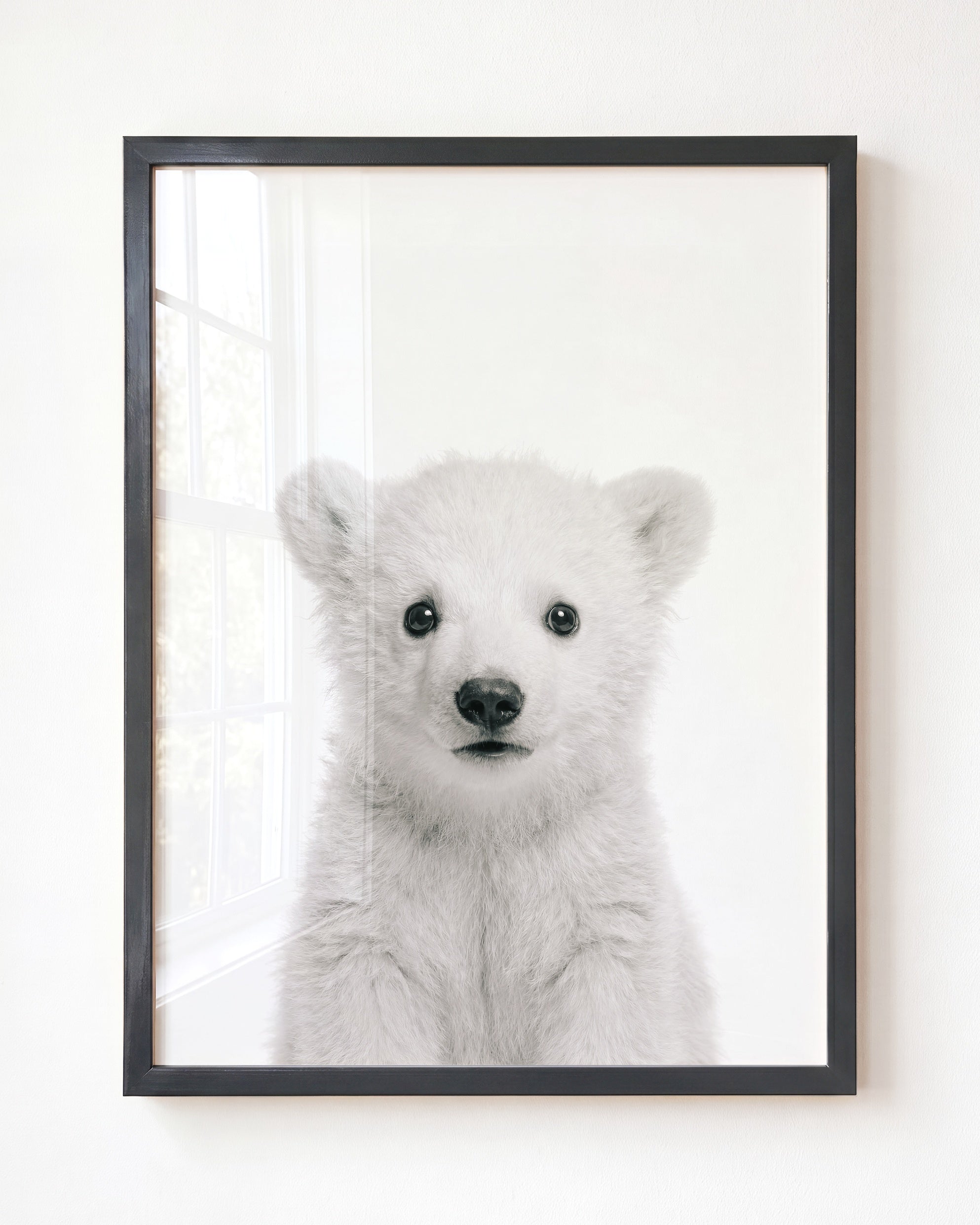 Baby Polar Bear