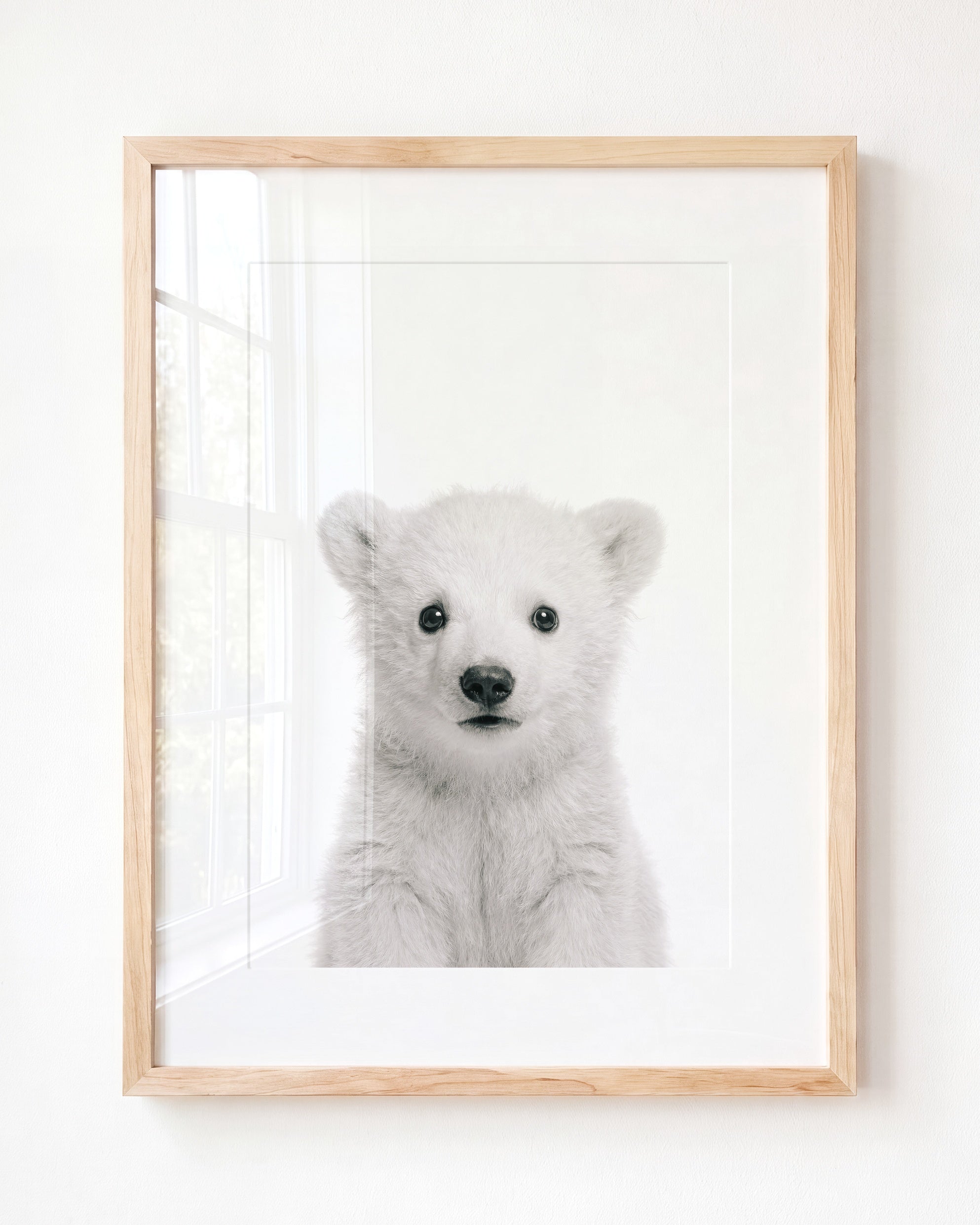 Baby Polar Bear