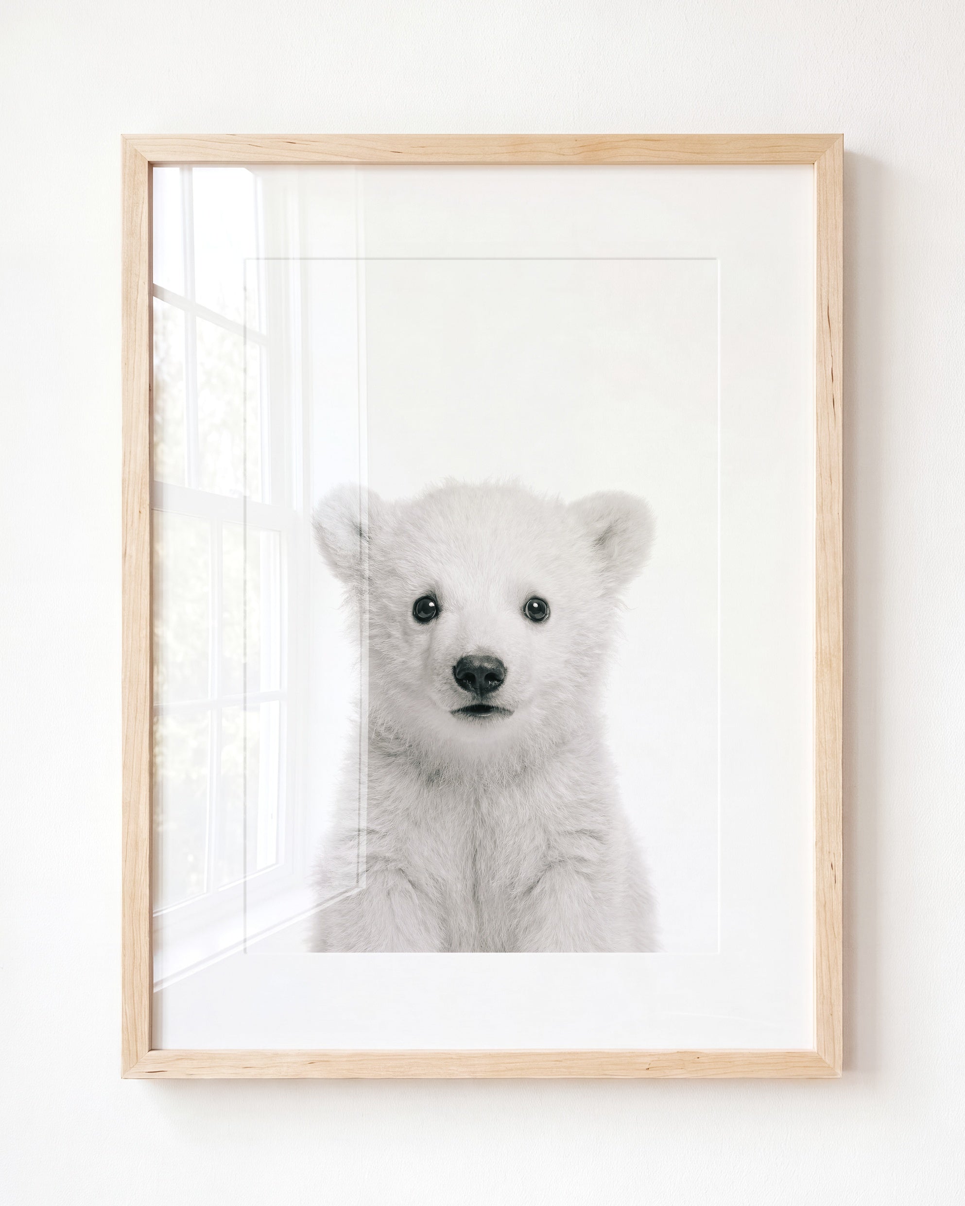 Baby Polar Bear