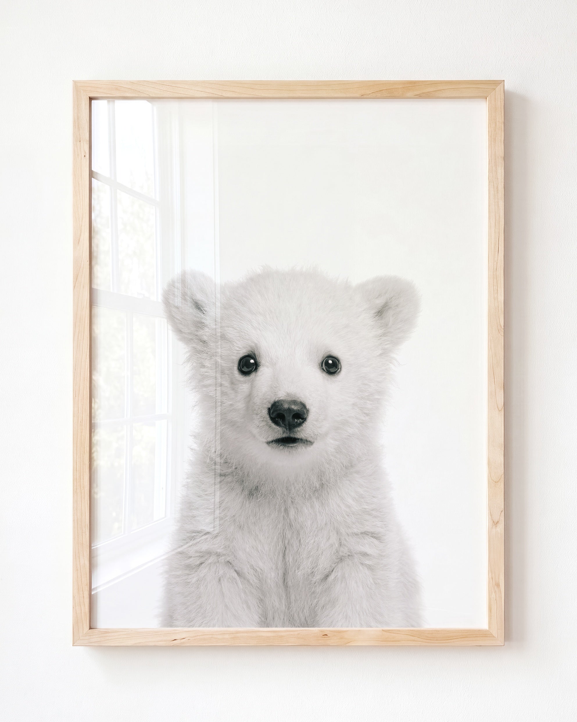 Baby Polar Bear