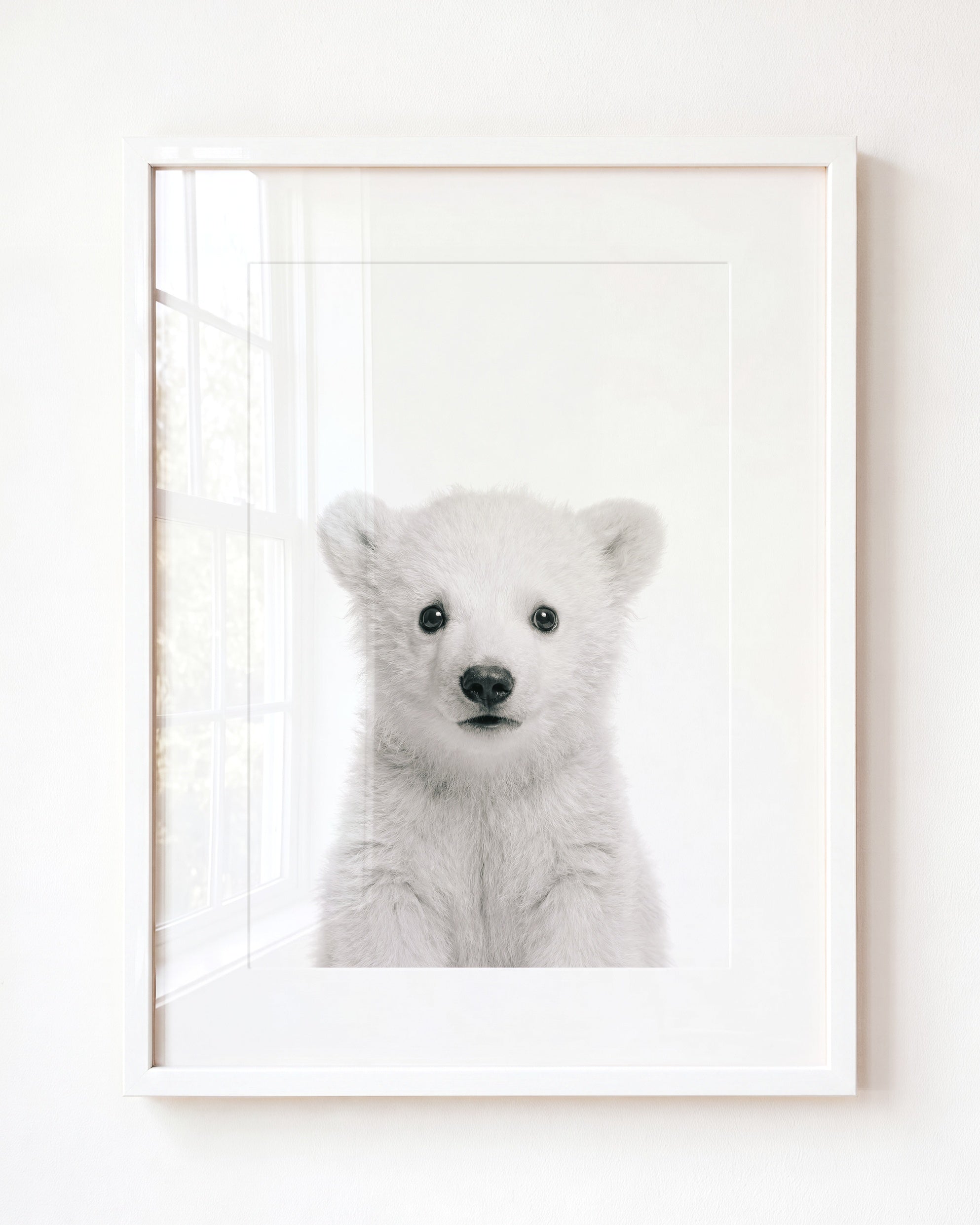 Baby Polar Bear