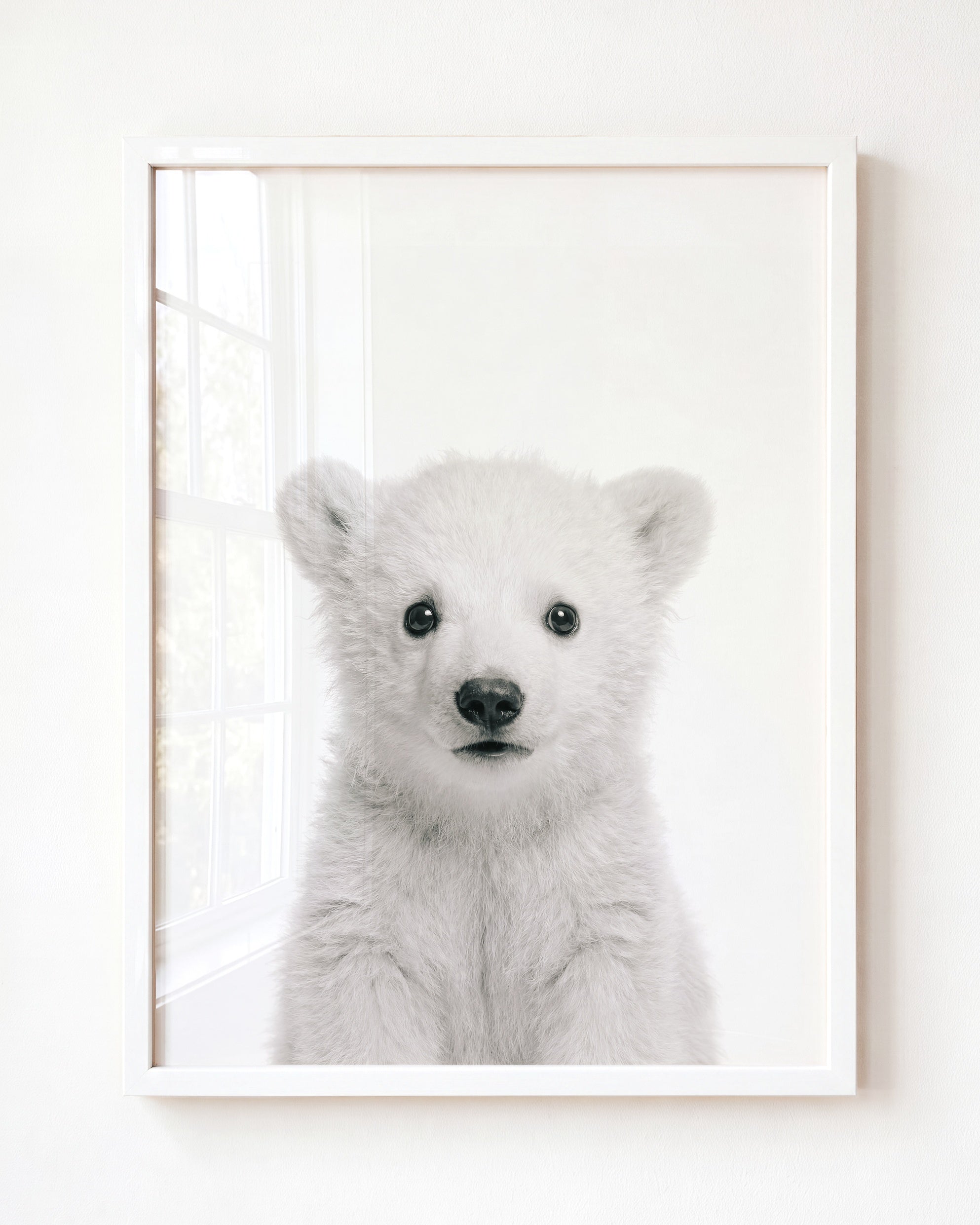 Baby Polar Bear