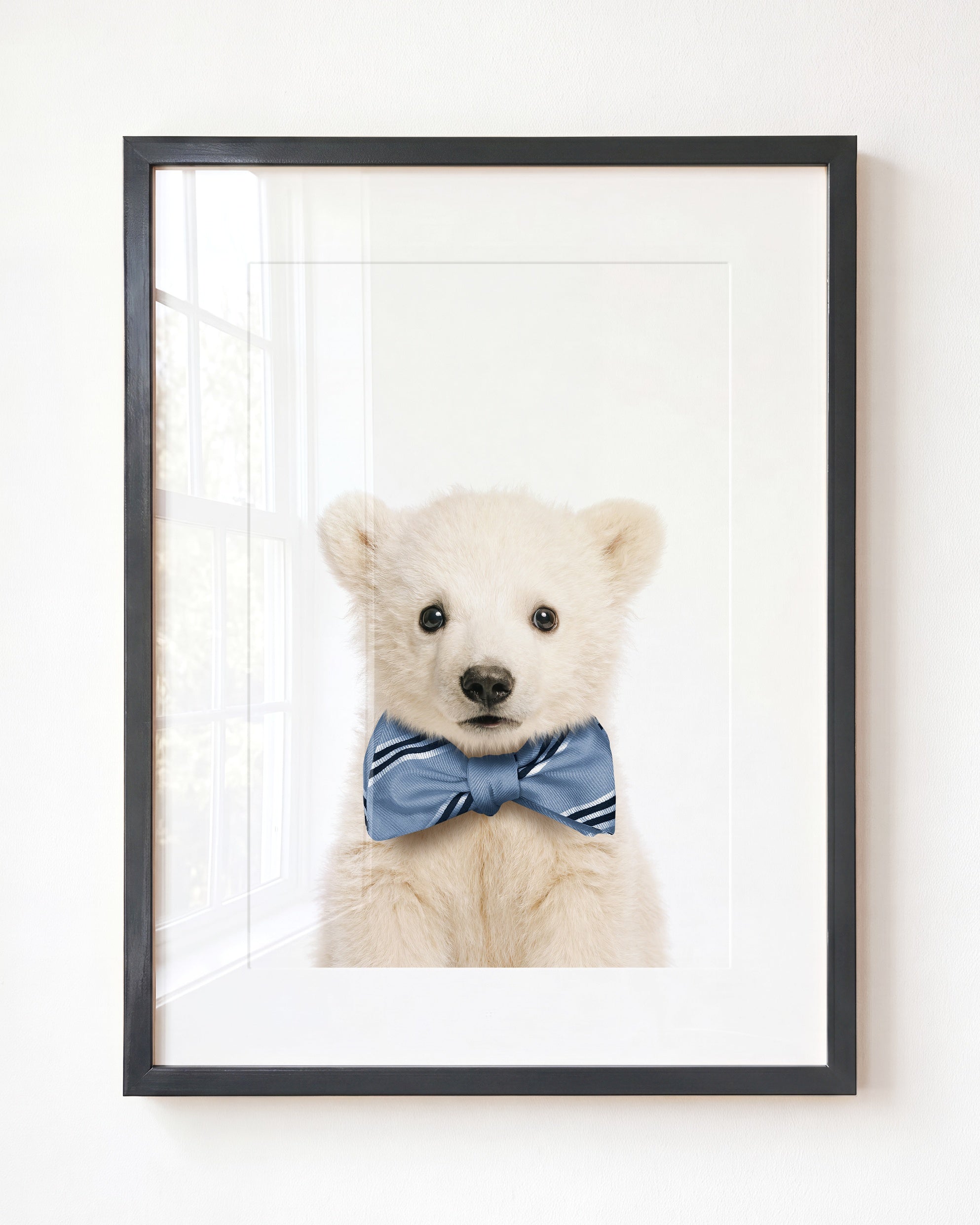Baby Polar Bear