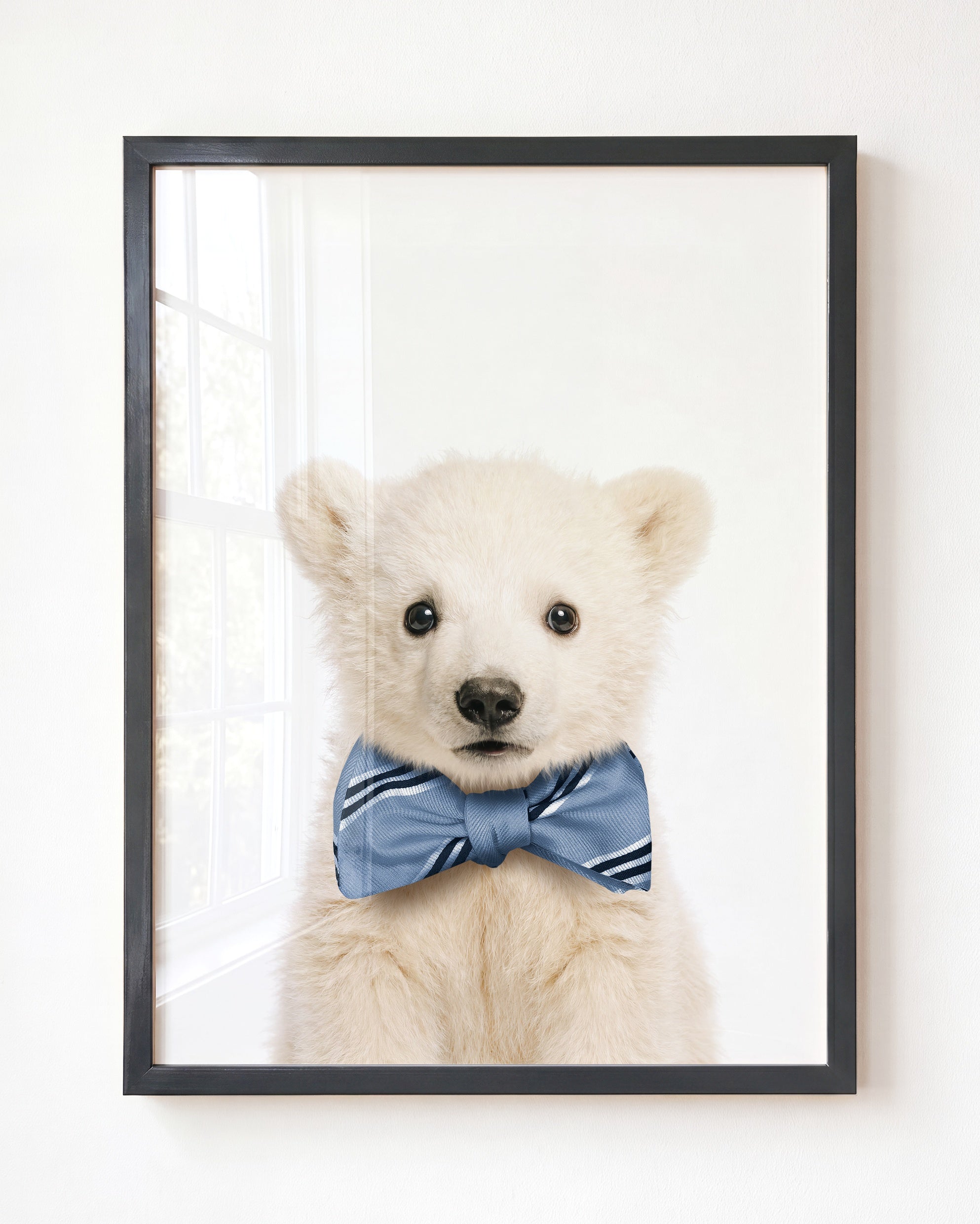 Baby Polar Bear