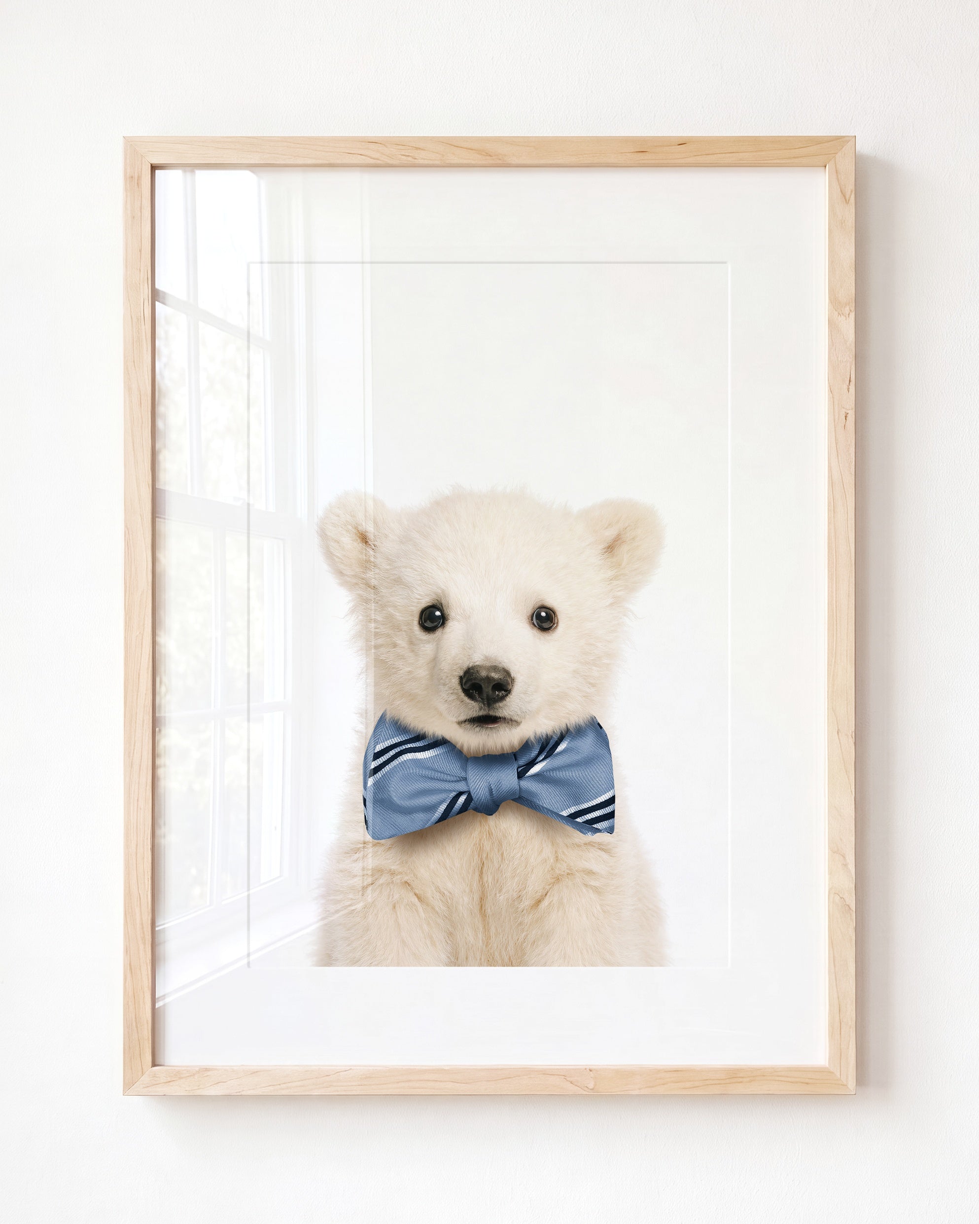 Baby Polar Bear