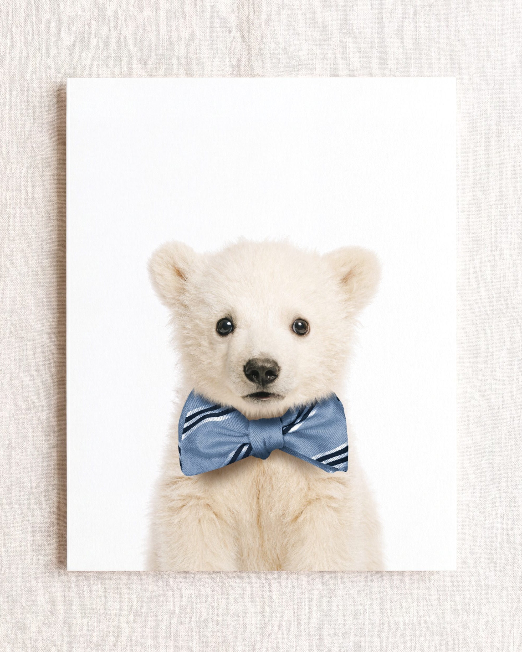 Baby Polar Bear