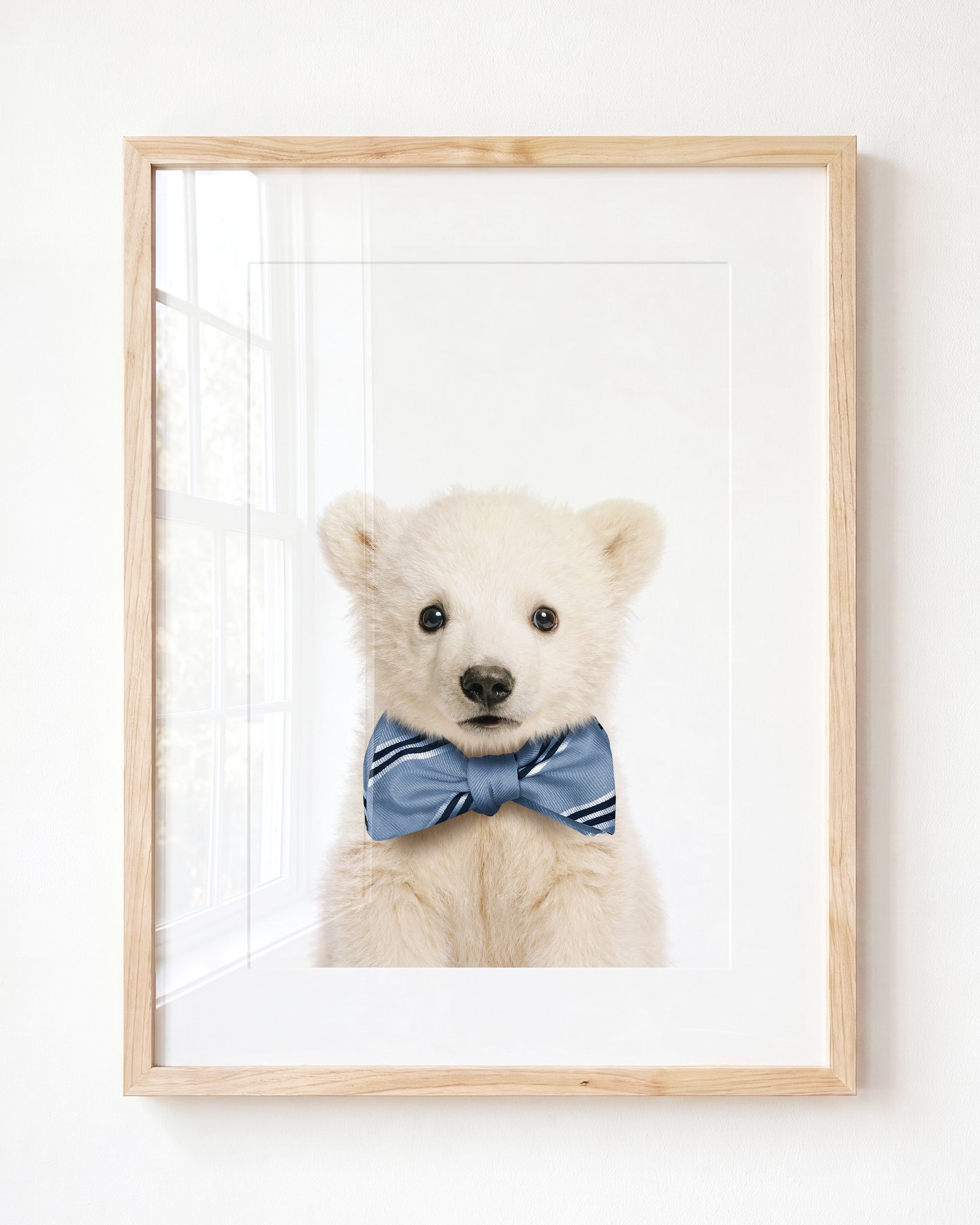 Baby Polar Bear