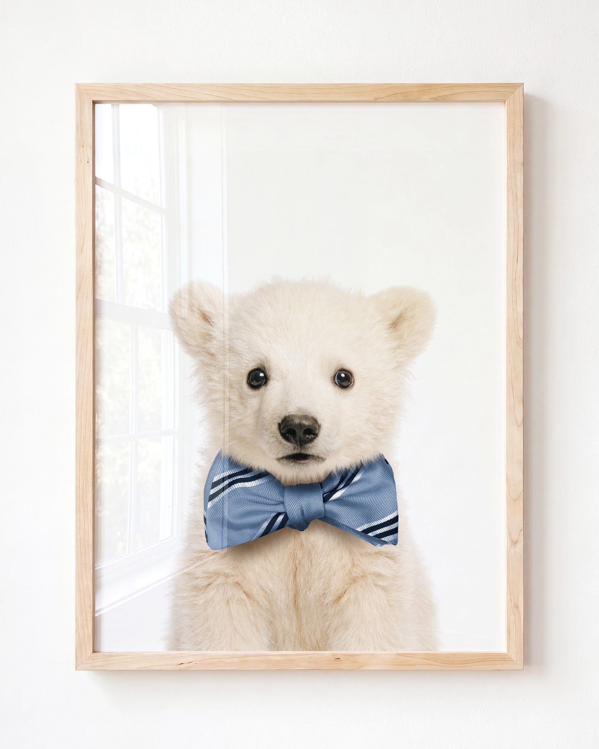 Baby Polar Bear