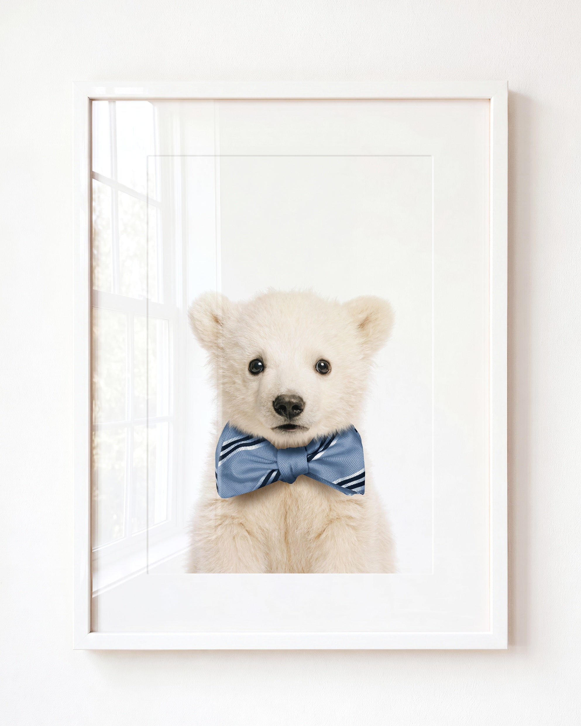 Baby Polar Bear