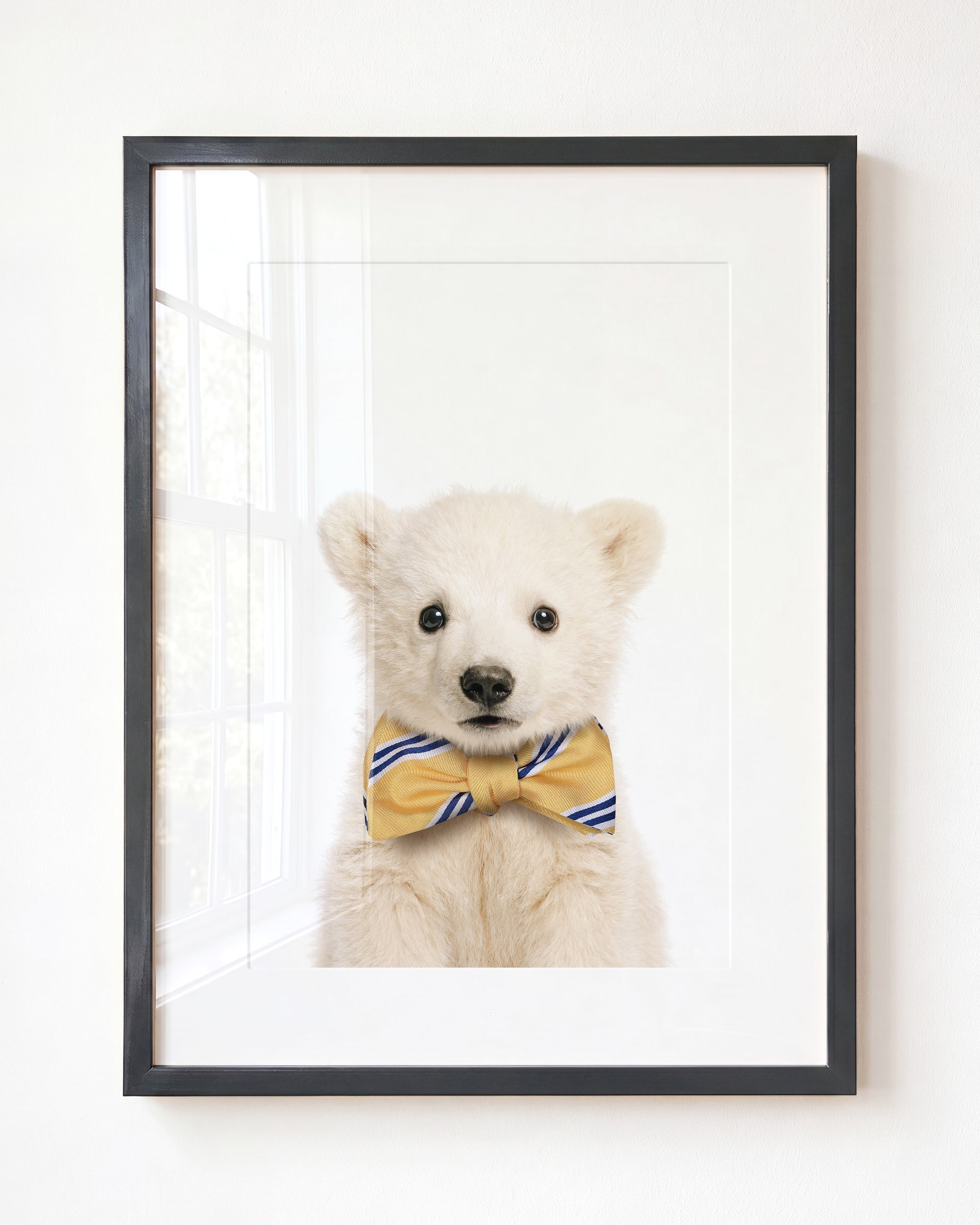 Baby Polar Bear