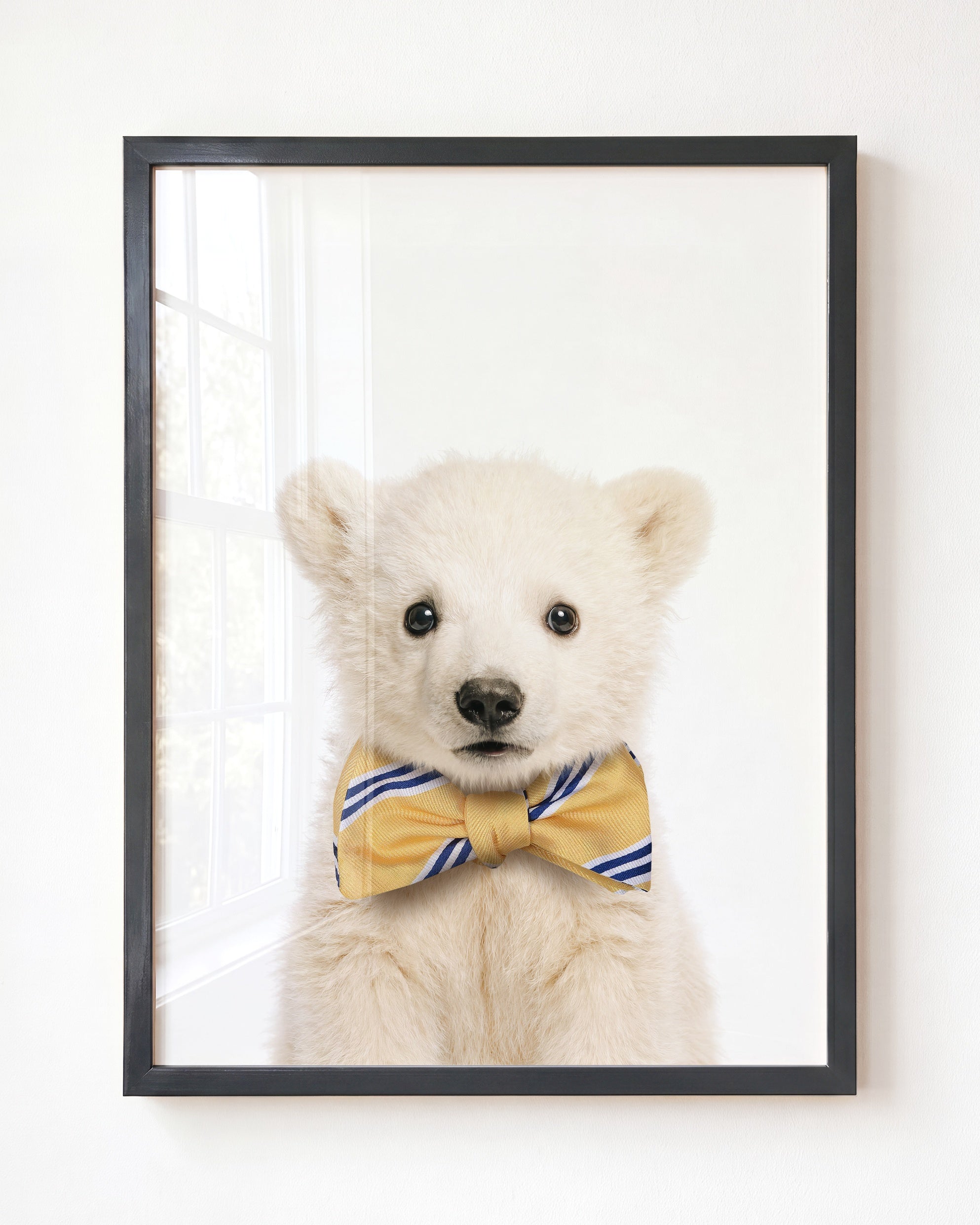 Baby Polar Bear