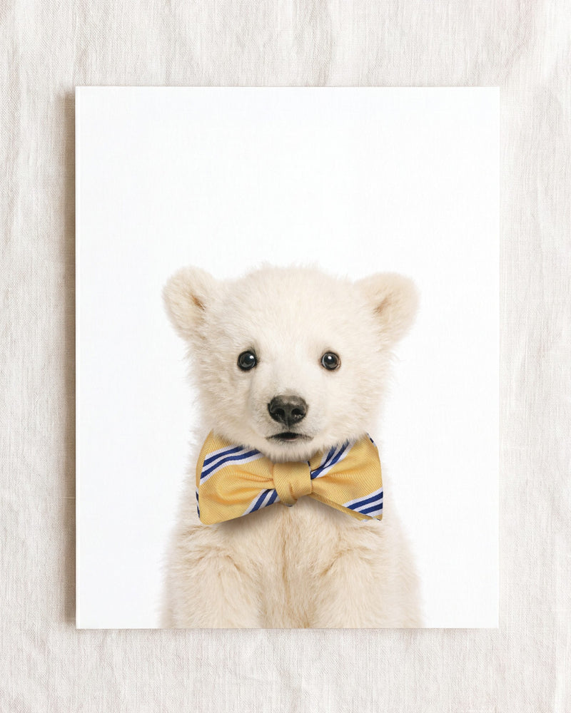Bow Tie