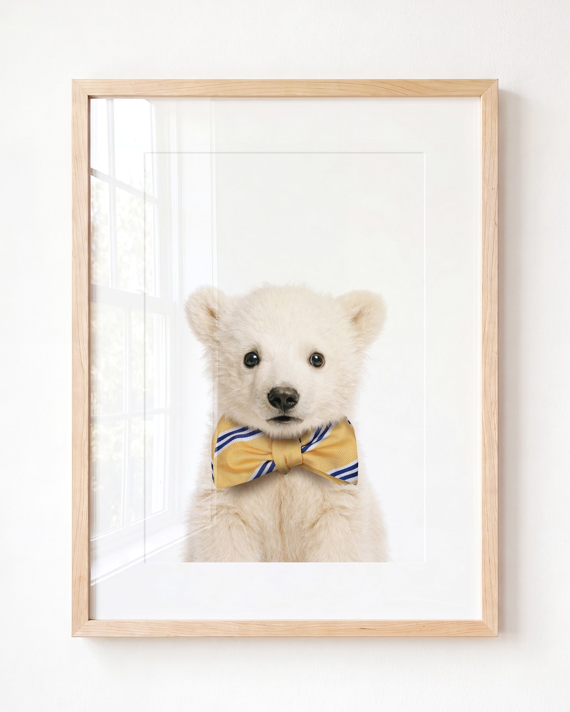 Baby Polar Bear