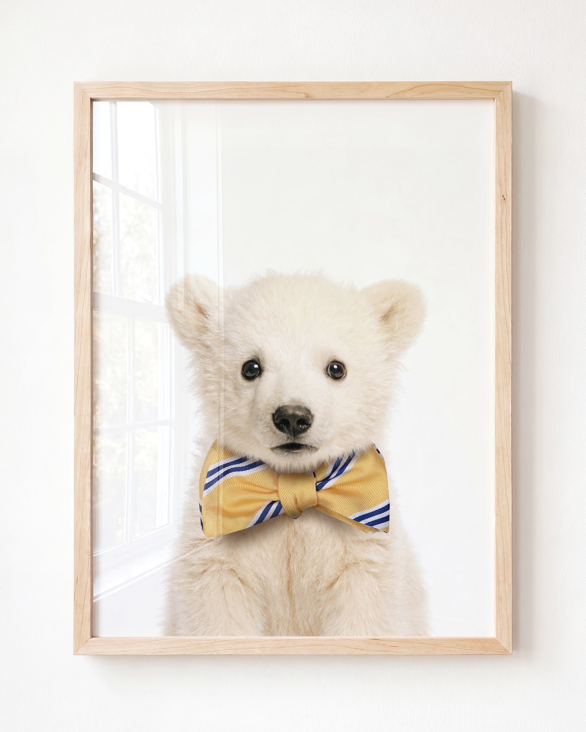 Baby Polar Bear