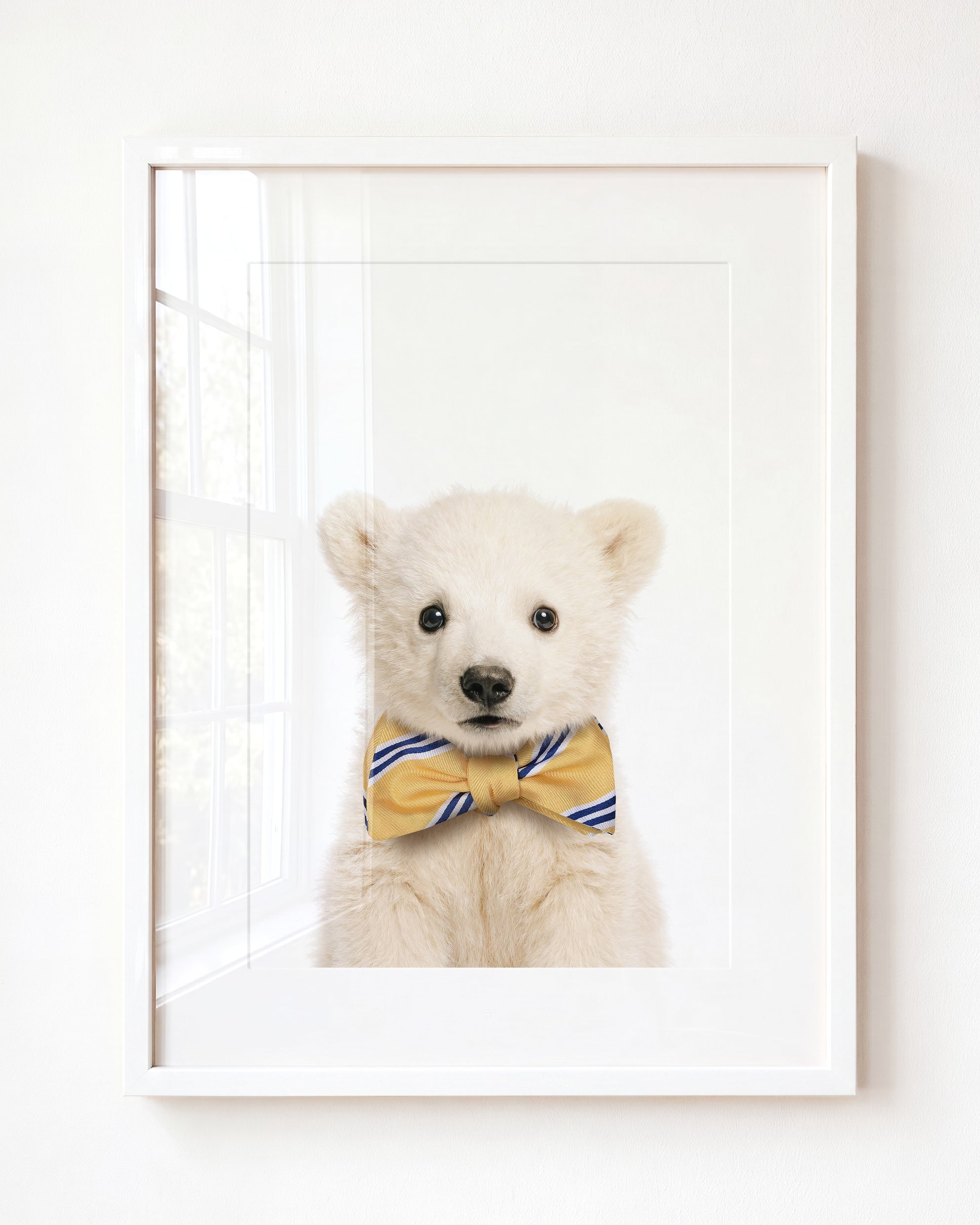Baby Polar Bear