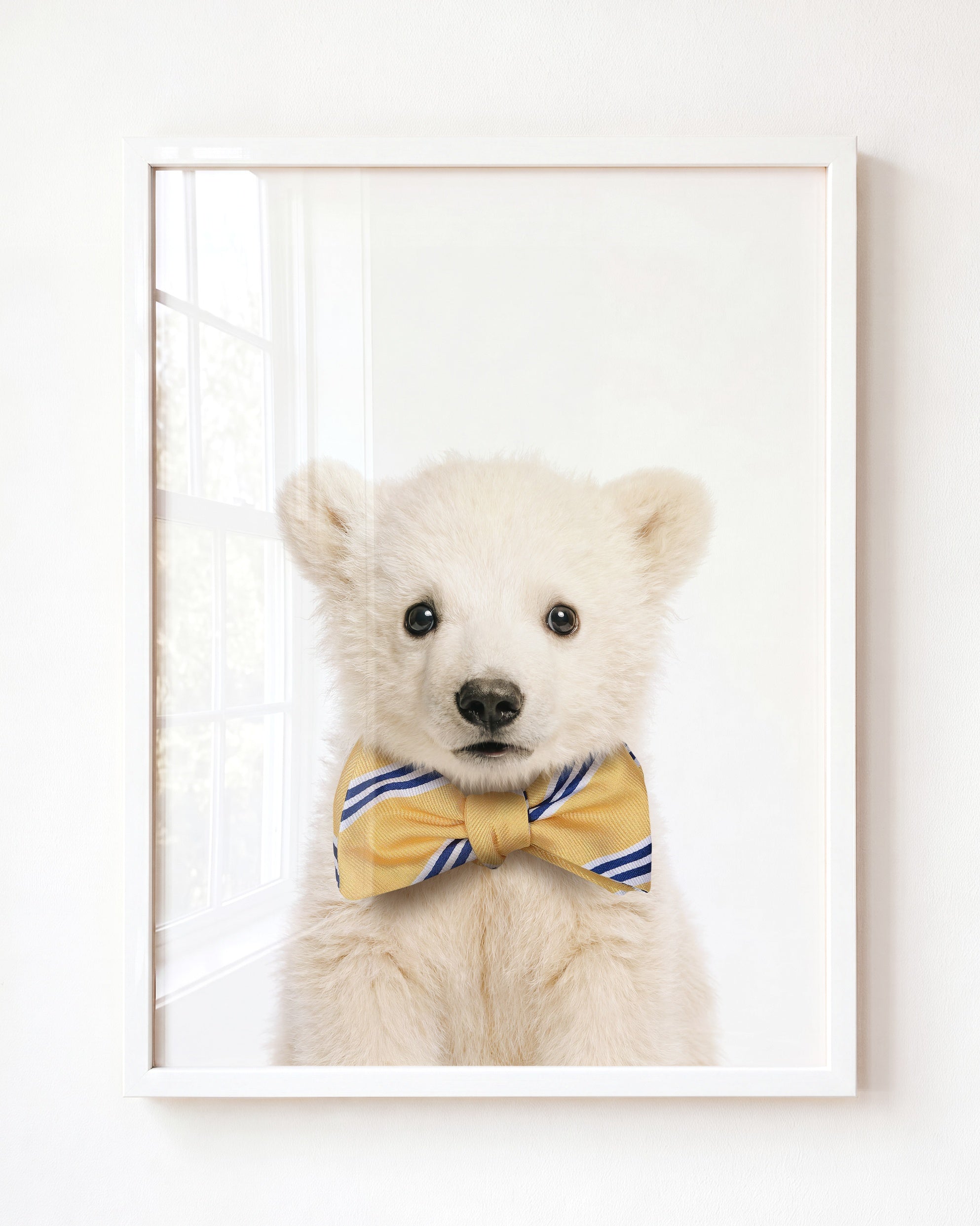 Baby Polar Bear