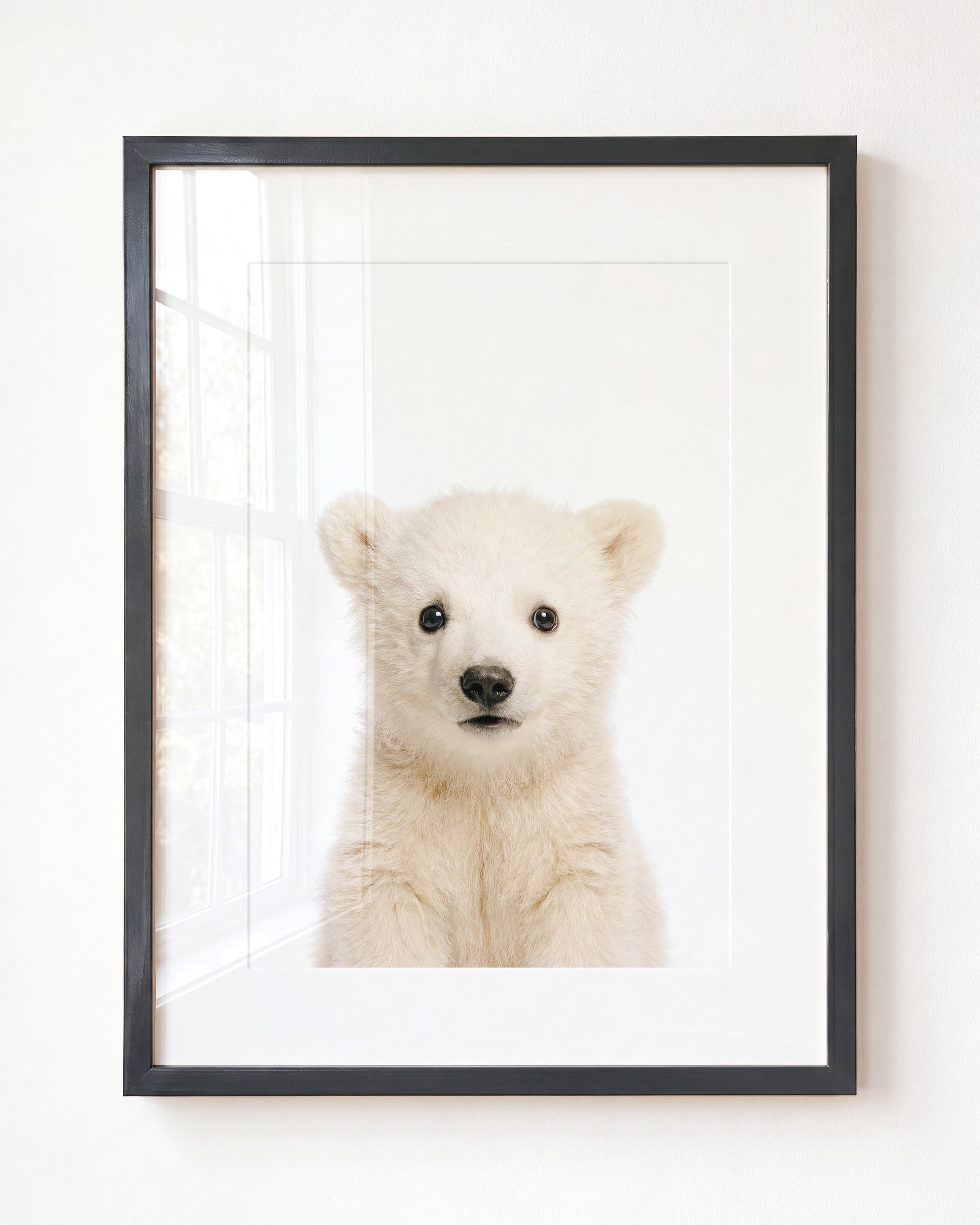 Baby Polar Bear