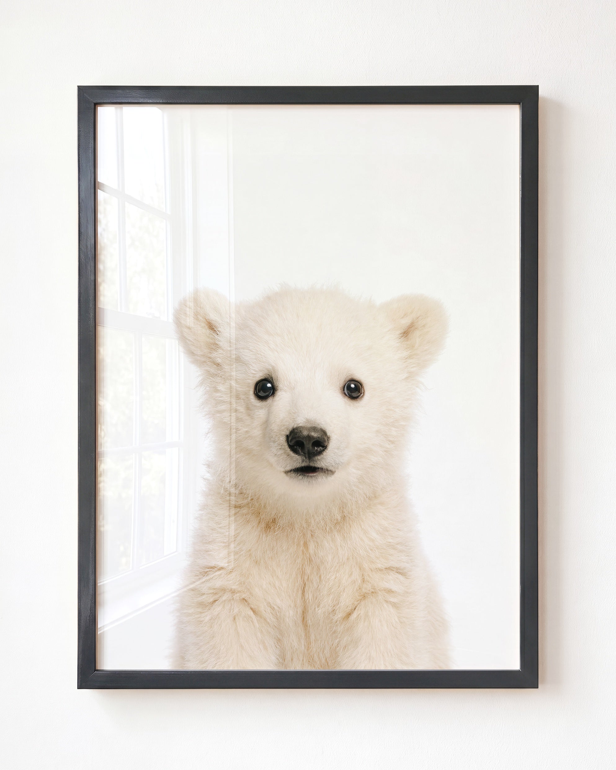 Baby Polar Bear